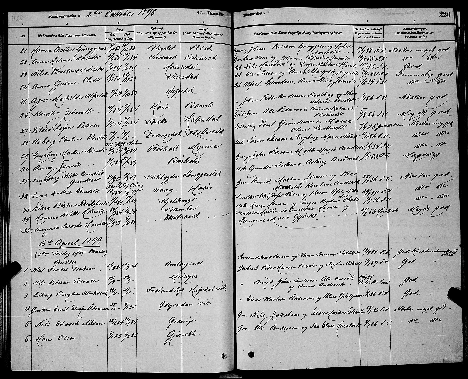 Bamble kirkebøker, SAKO/A-253/G/Ga/L0008: Parish register (copy) no. I 8, 1878-1888, p. 220