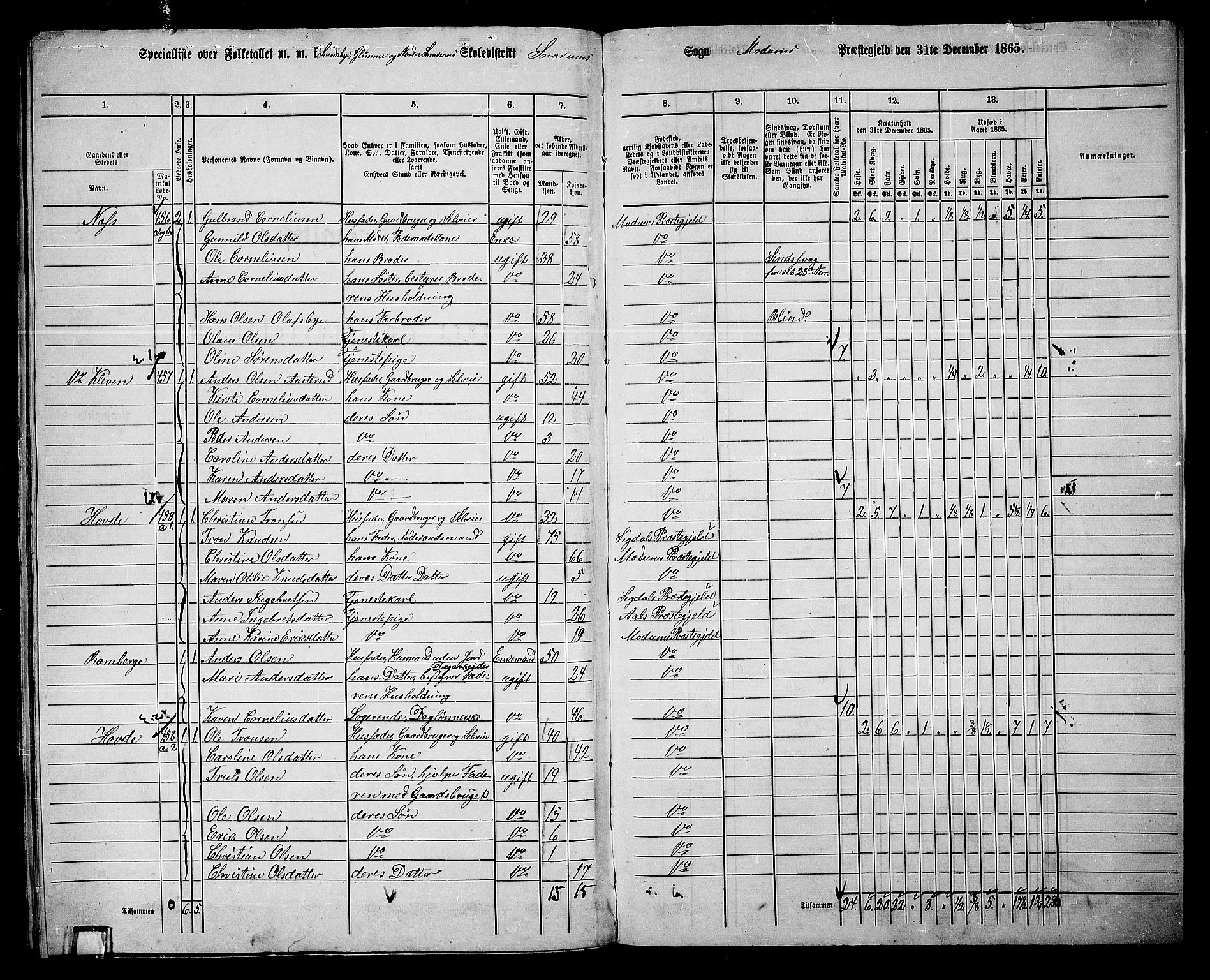 RA, 1865 census for Modum, 1865, p. 325