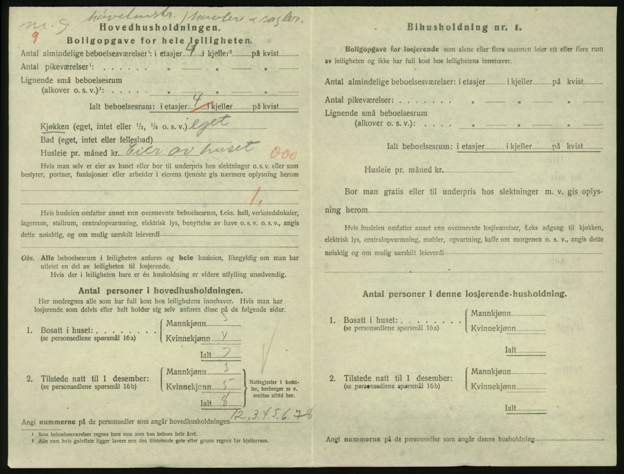 SAKO, 1920 census for Larvik, 1920, p. 3285