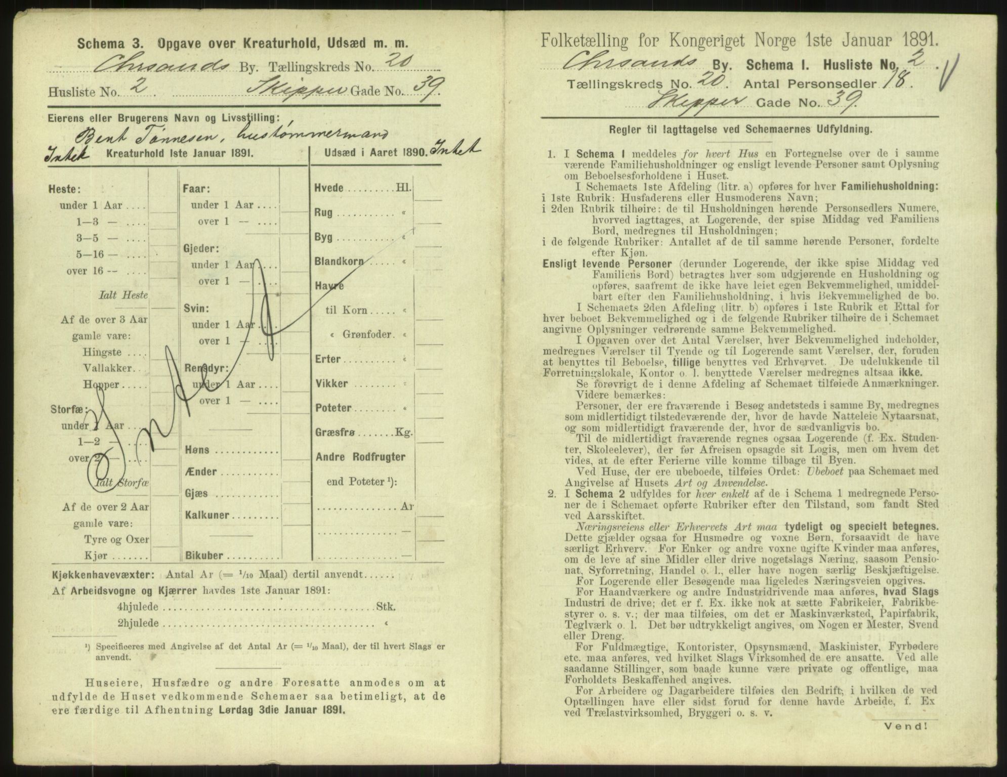 RA, 1891 census for 1001 Kristiansand, 1891, p. 1118