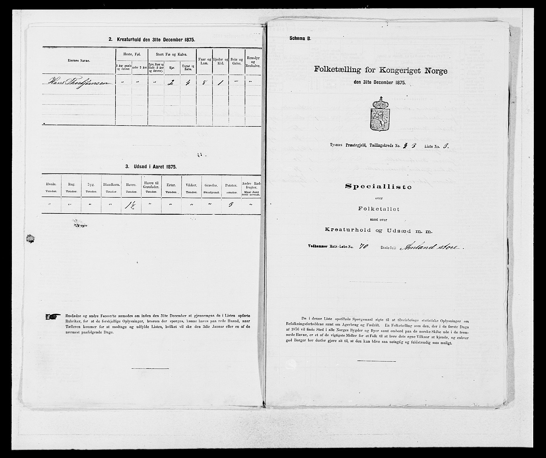 SAB, 1875 census for 1223P Tysnes, 1875, p. 224