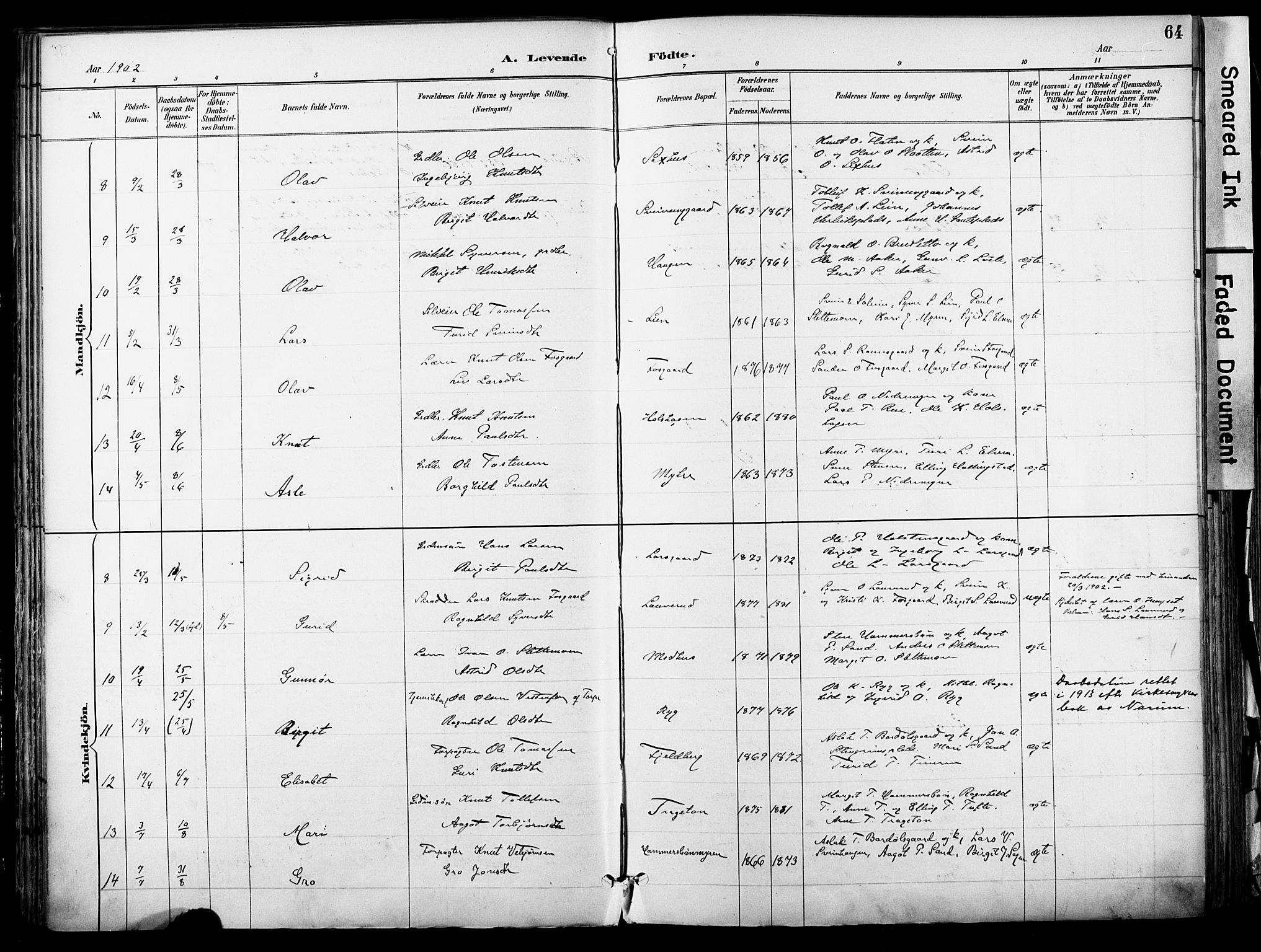 Hol kirkebøker, AV/SAKO-A-227/F/Fa/L0003: Parish register (official) no. I 3, 1887-1918, p. 64