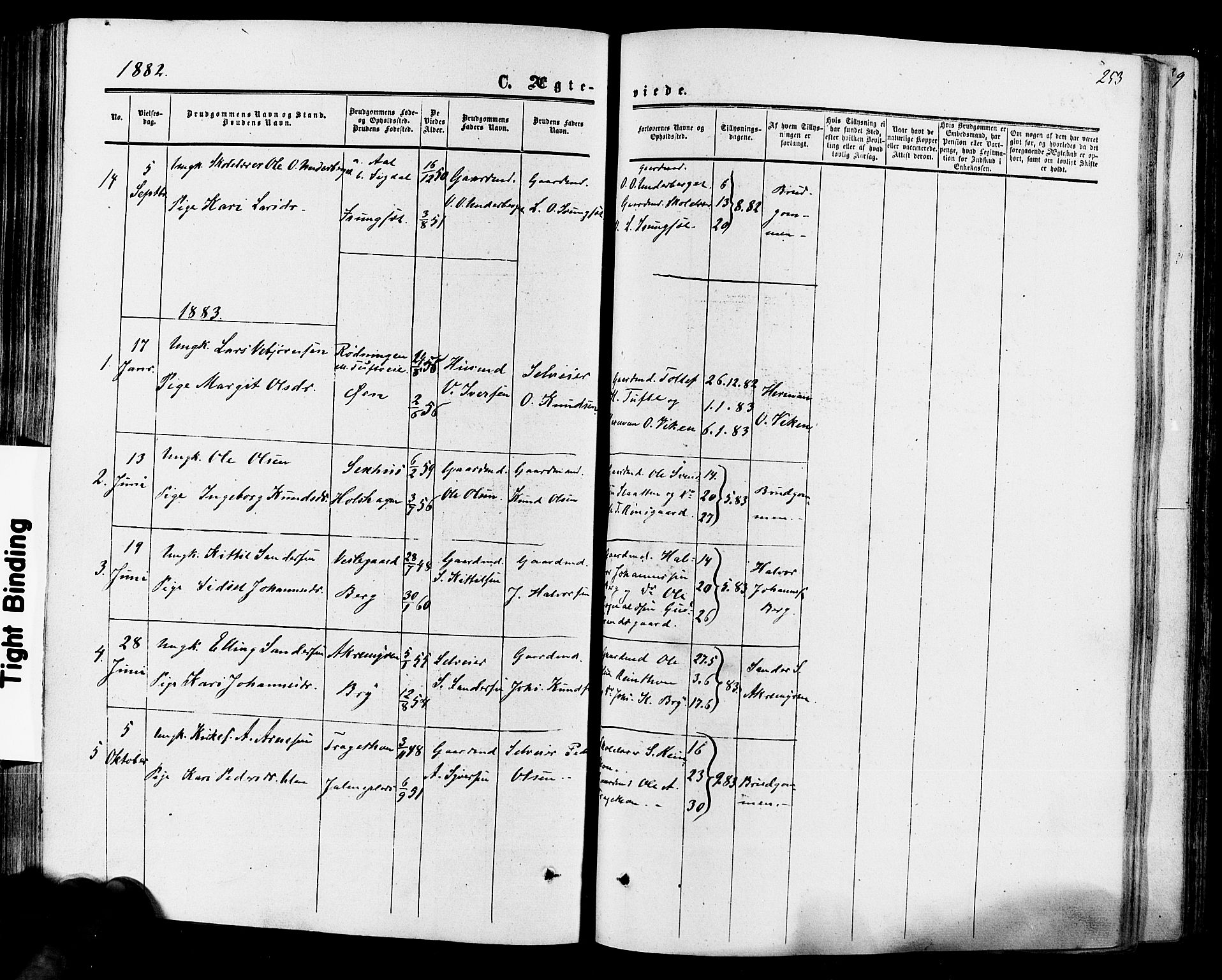 Hol kirkebøker, SAKO/A-227/F/Fa/L0002: Parish register (official) no. I 2, 1870-1886, p. 253