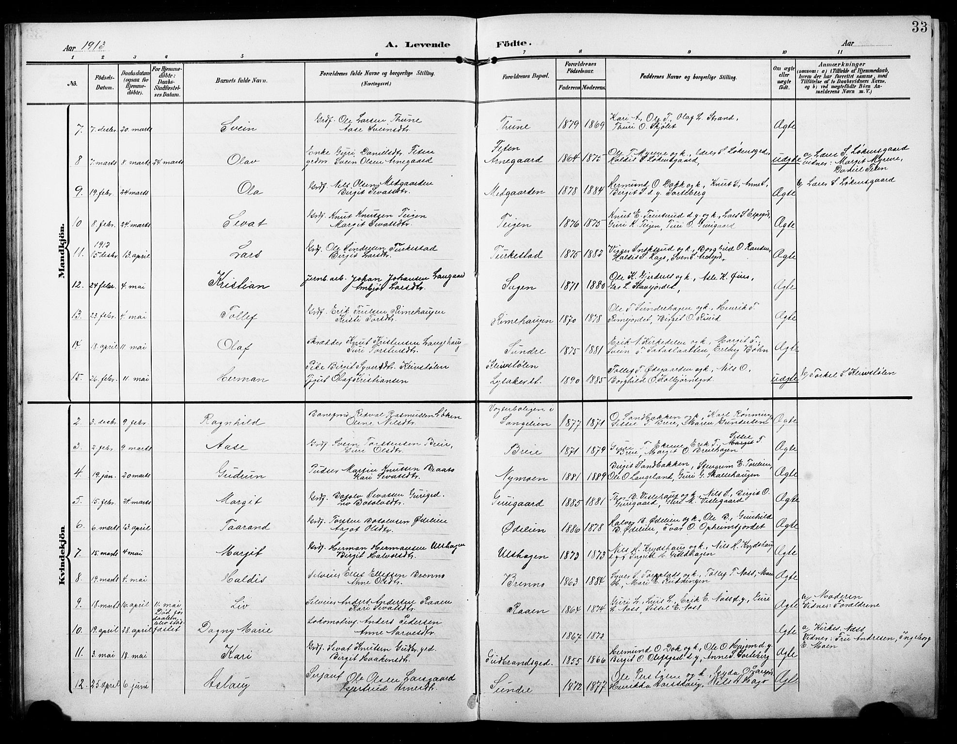 Ål kirkebøker, AV/SAKO-A-249/G/Ga/L0002: Parish register (copy) no. 2, 1904-1928, p. 33