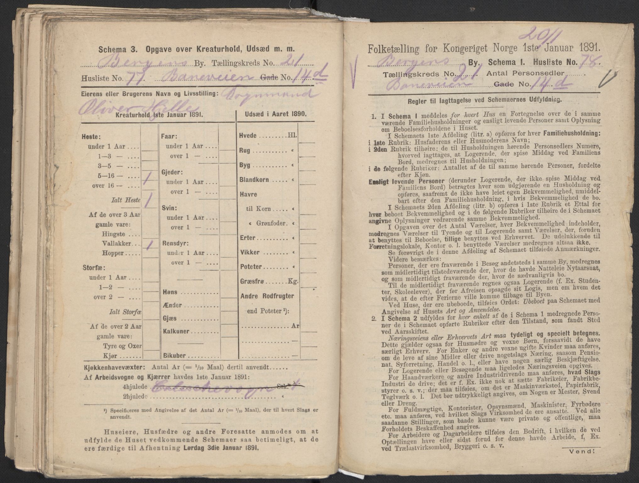 RA, 1891 Census for 1301 Bergen, 1891, p. 3462