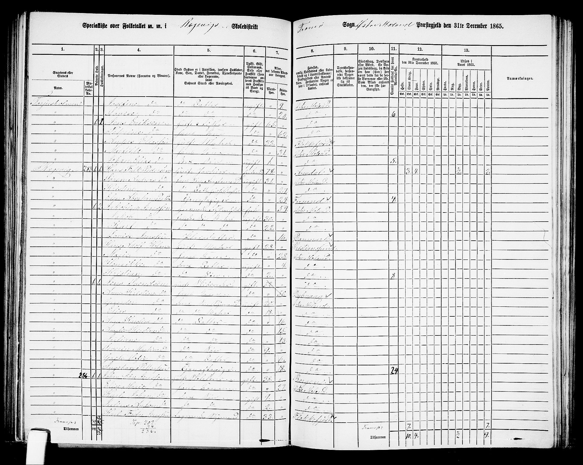 RA, 1865 census for Austre Moland, 1865, p. 238