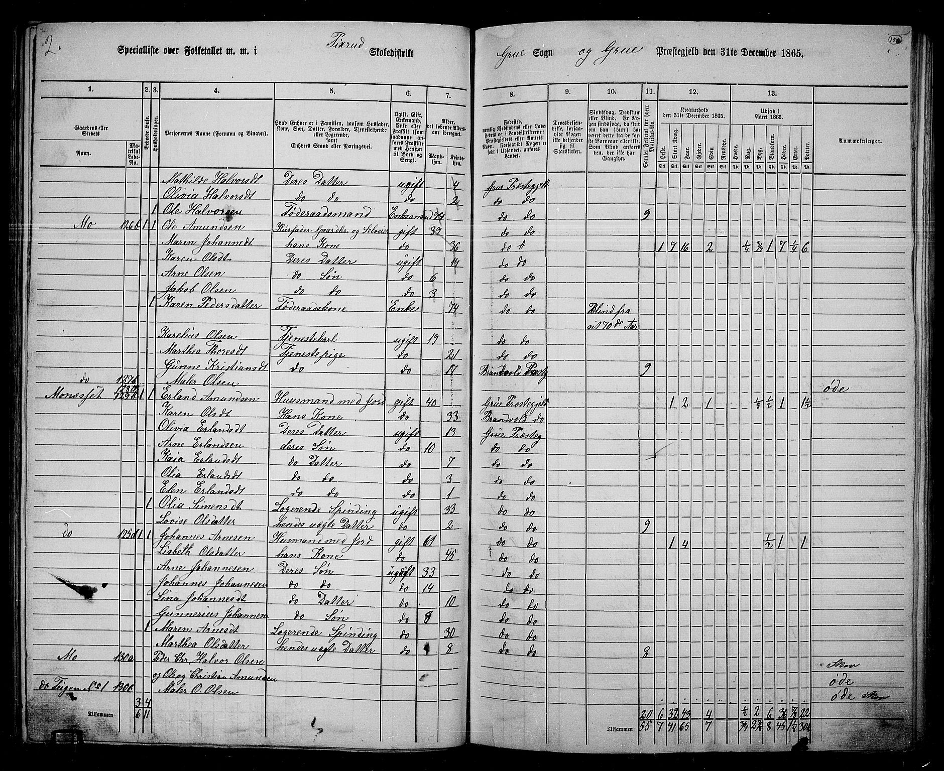 RA, 1865 census for Grue, 1865, p. 135