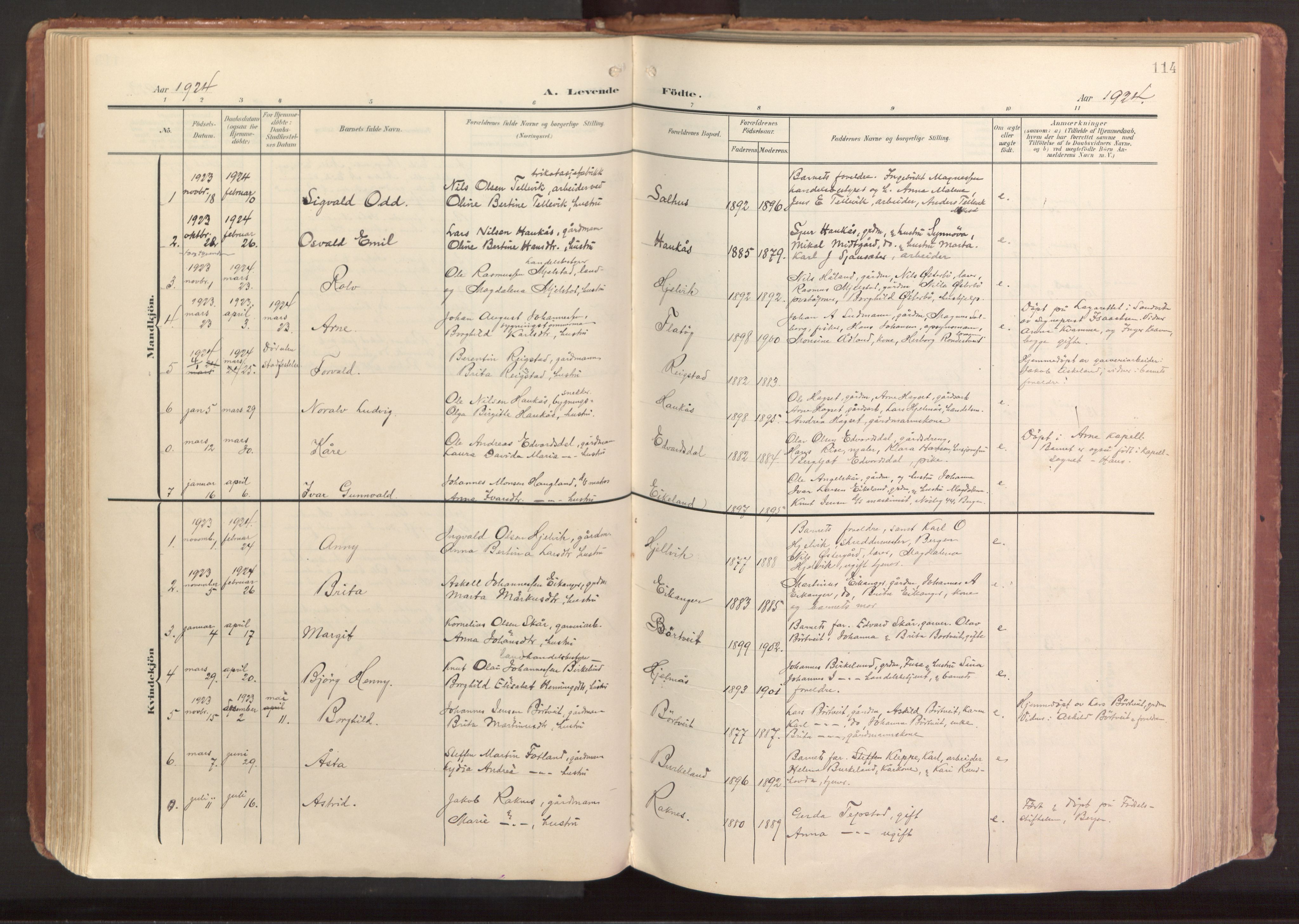 Hamre sokneprestembete, AV/SAB-A-75501/H/Ha/Haa/Haab/L0002: Parish register (official) no. B 2, 1905-1924, p. 114