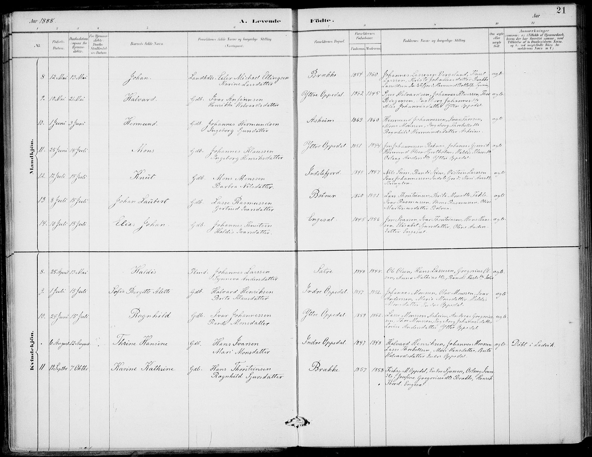 Gulen sokneprestembete, AV/SAB-A-80201/H/Haa/Haac/L0002: Parish register (official) no. C  2, 1882-1914, p. 21