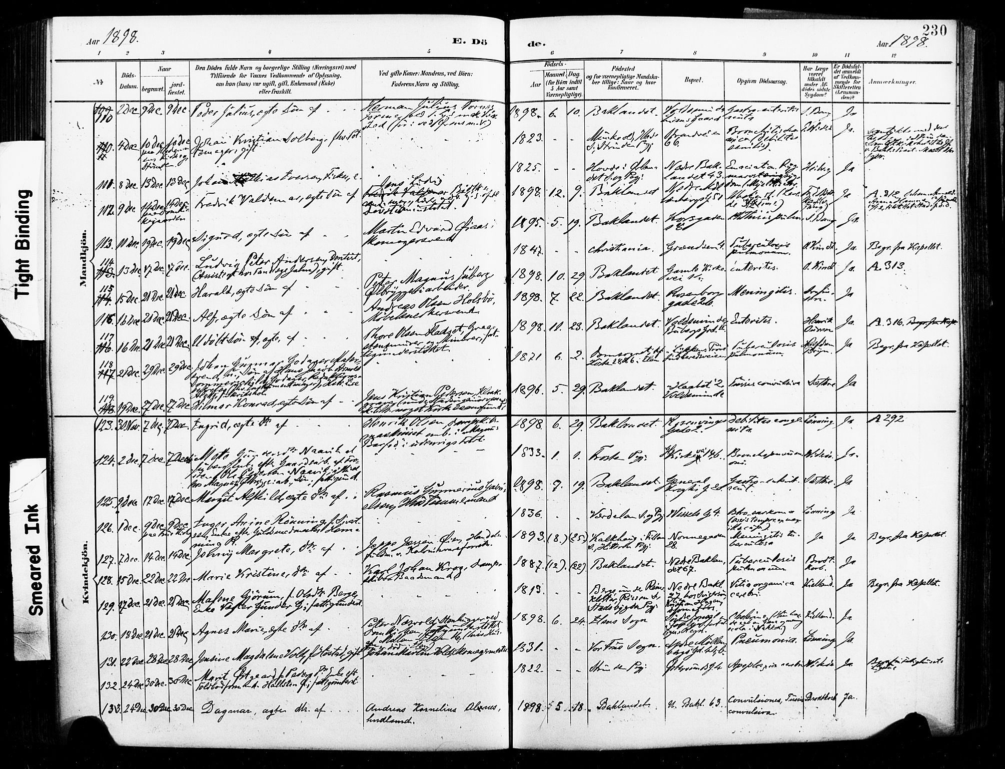 Ministerialprotokoller, klokkerbøker og fødselsregistre - Sør-Trøndelag, SAT/A-1456/604/L0198: Parish register (official) no. 604A19, 1893-1900, p. 230