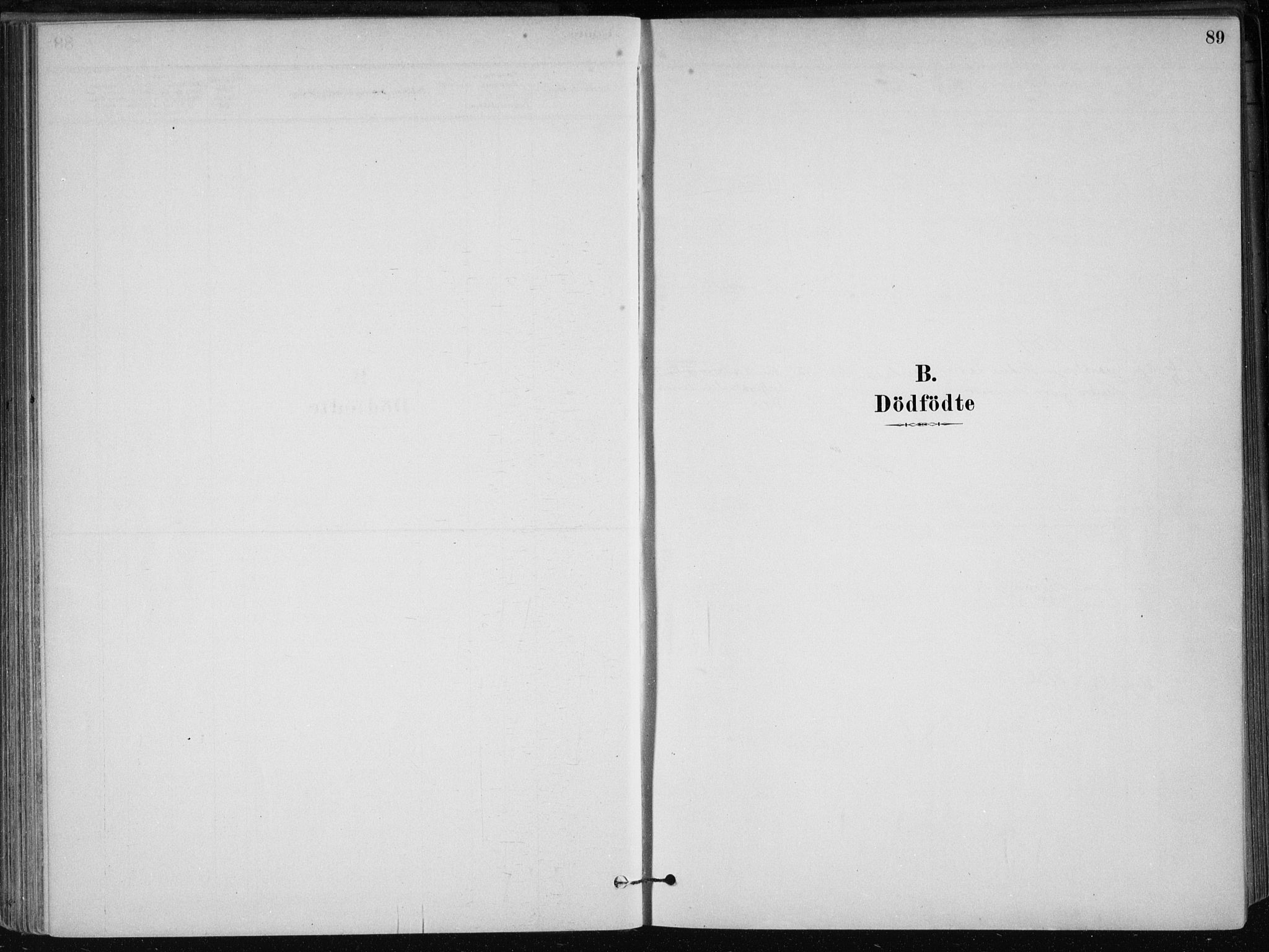 Skånevik sokneprestembete, SAB/A-77801/H/Haa: Parish register (official) no. B 1, 1879-1914, p. 89