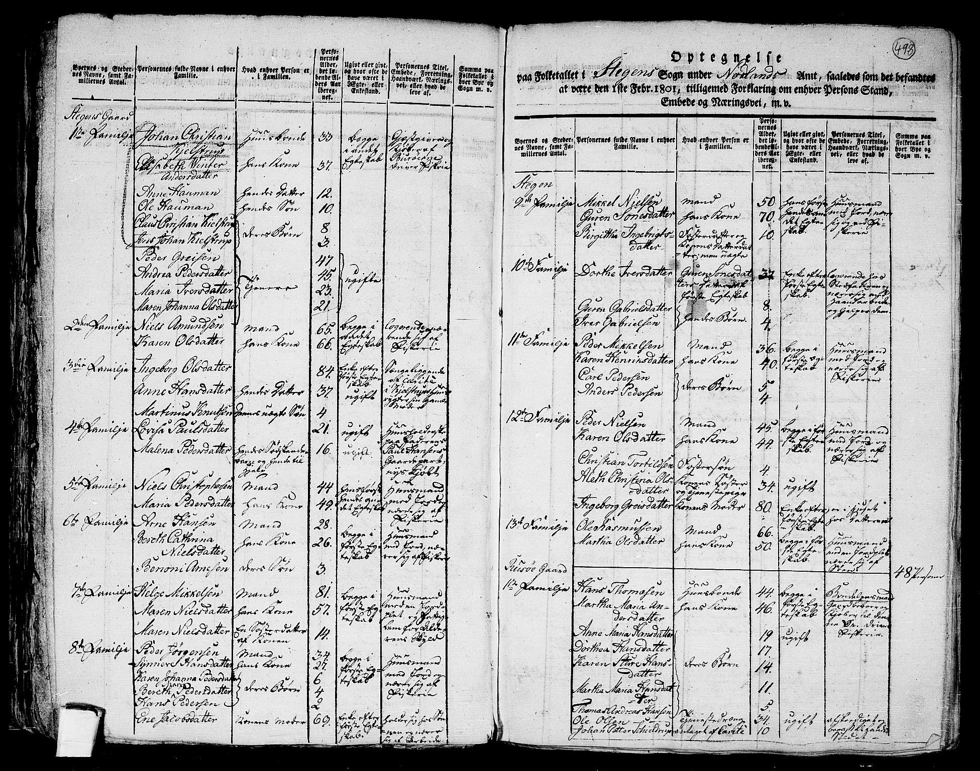 RA, 1801 census for 1848P Steigen, 1801, p. 497b-498a