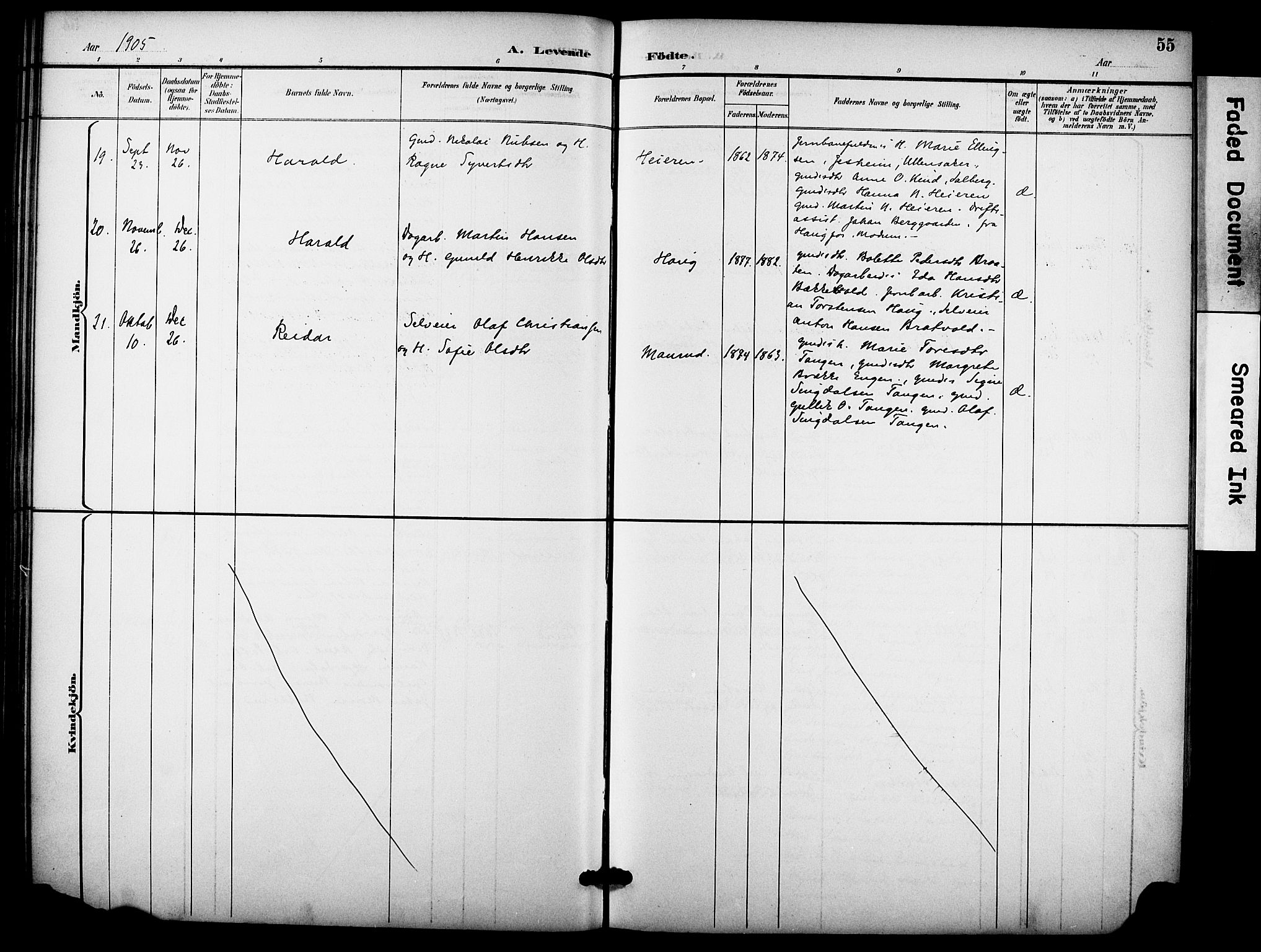 Hole kirkebøker, AV/SAKO-A-228/F/Fb/L0002: Parish register (official) no. II 2, 1892-1906, p. 55