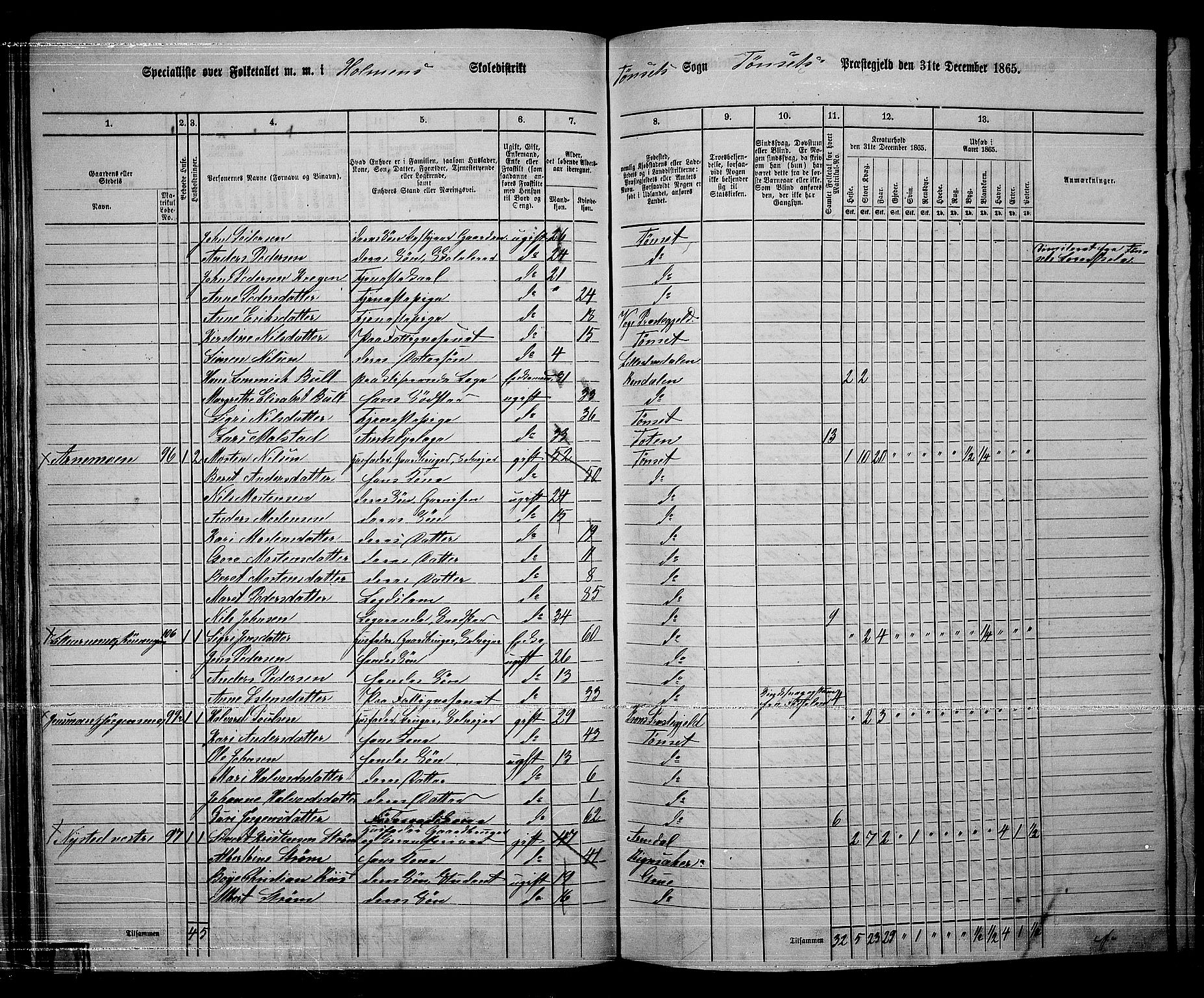 RA, 1865 census for Tynset, 1865, p. 51