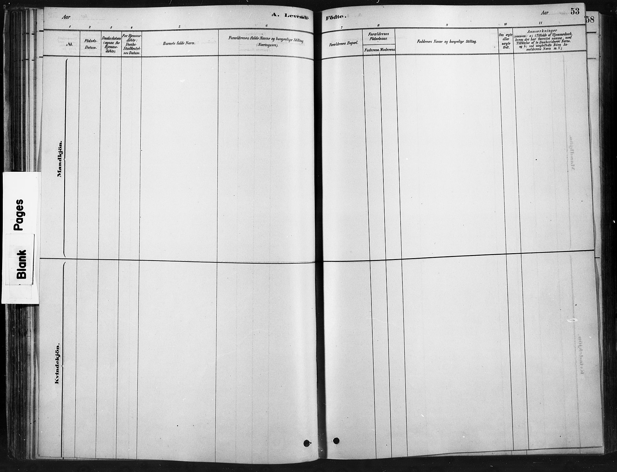 Ringebu prestekontor, SAH/PREST-082/H/Ha/Haa/L0009: Parish register (official) no. 9, 1878-1898, p. 53