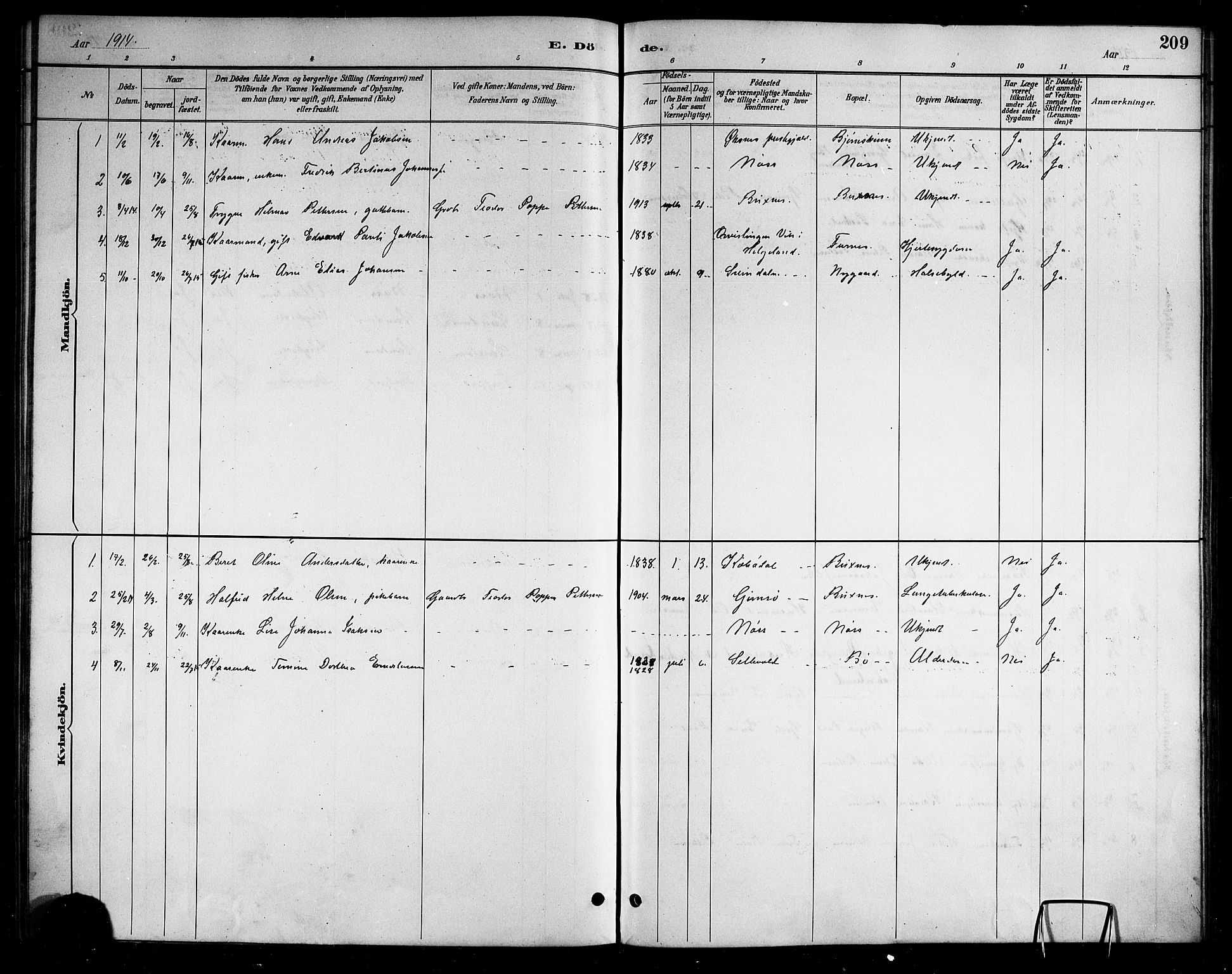 Ministerialprotokoller, klokkerbøker og fødselsregistre - Nordland, AV/SAT-A-1459/898/L1427: Parish register (copy) no. 898C02, 1887-1917, p. 209