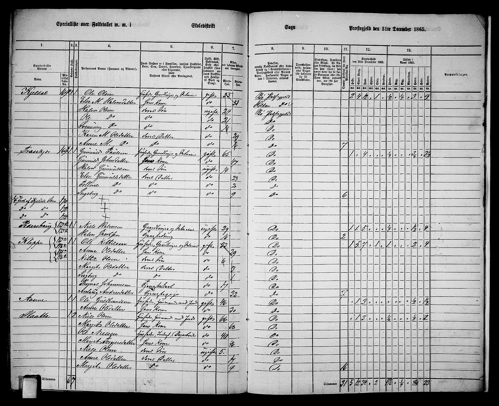 RA, 1865 census for Bø, 1865, p. 214