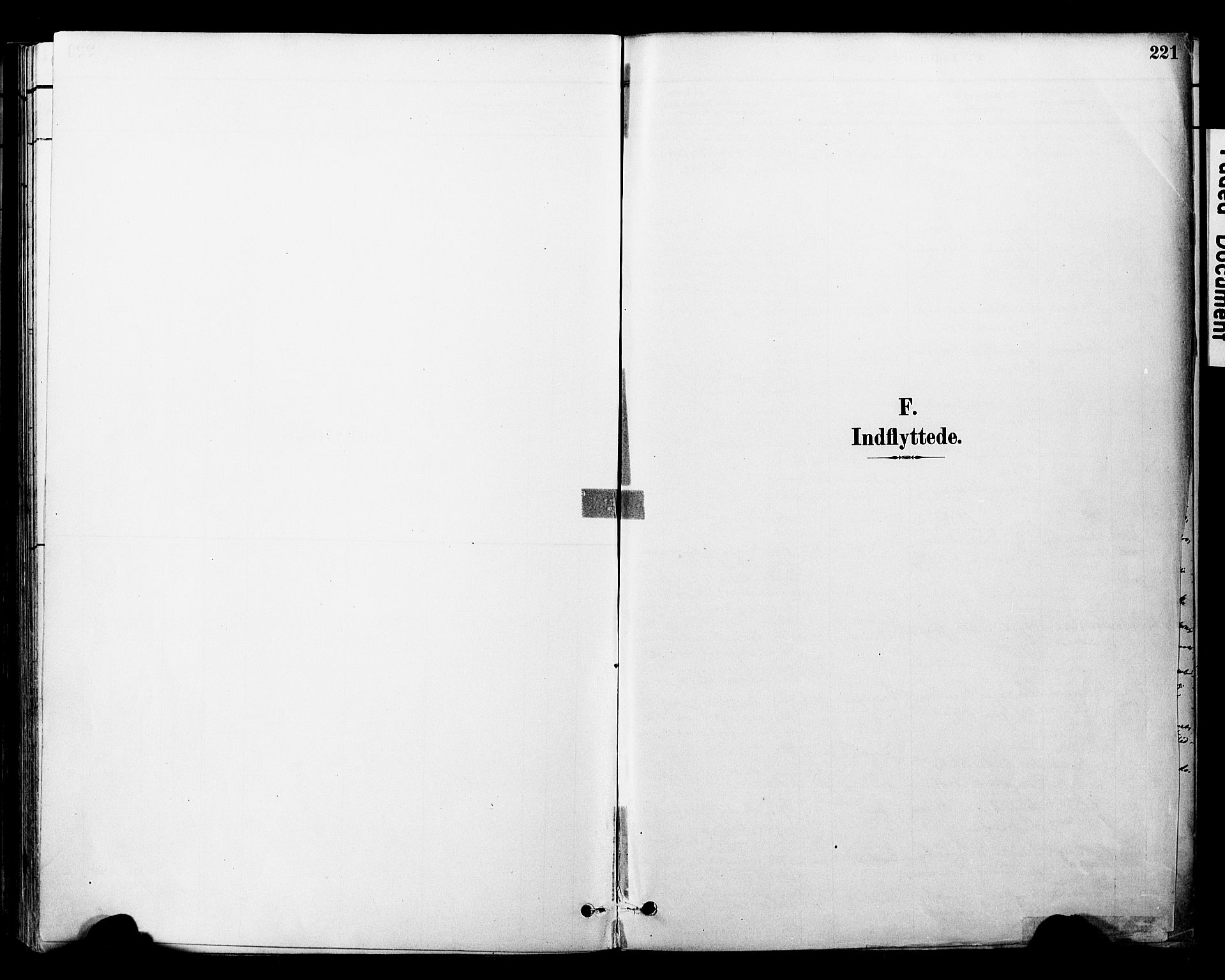 Ministerialprotokoller, klokkerbøker og fødselsregistre - Nord-Trøndelag, AV/SAT-A-1458/757/L0505: Parish register (official) no. 757A01, 1882-1904, p. 221