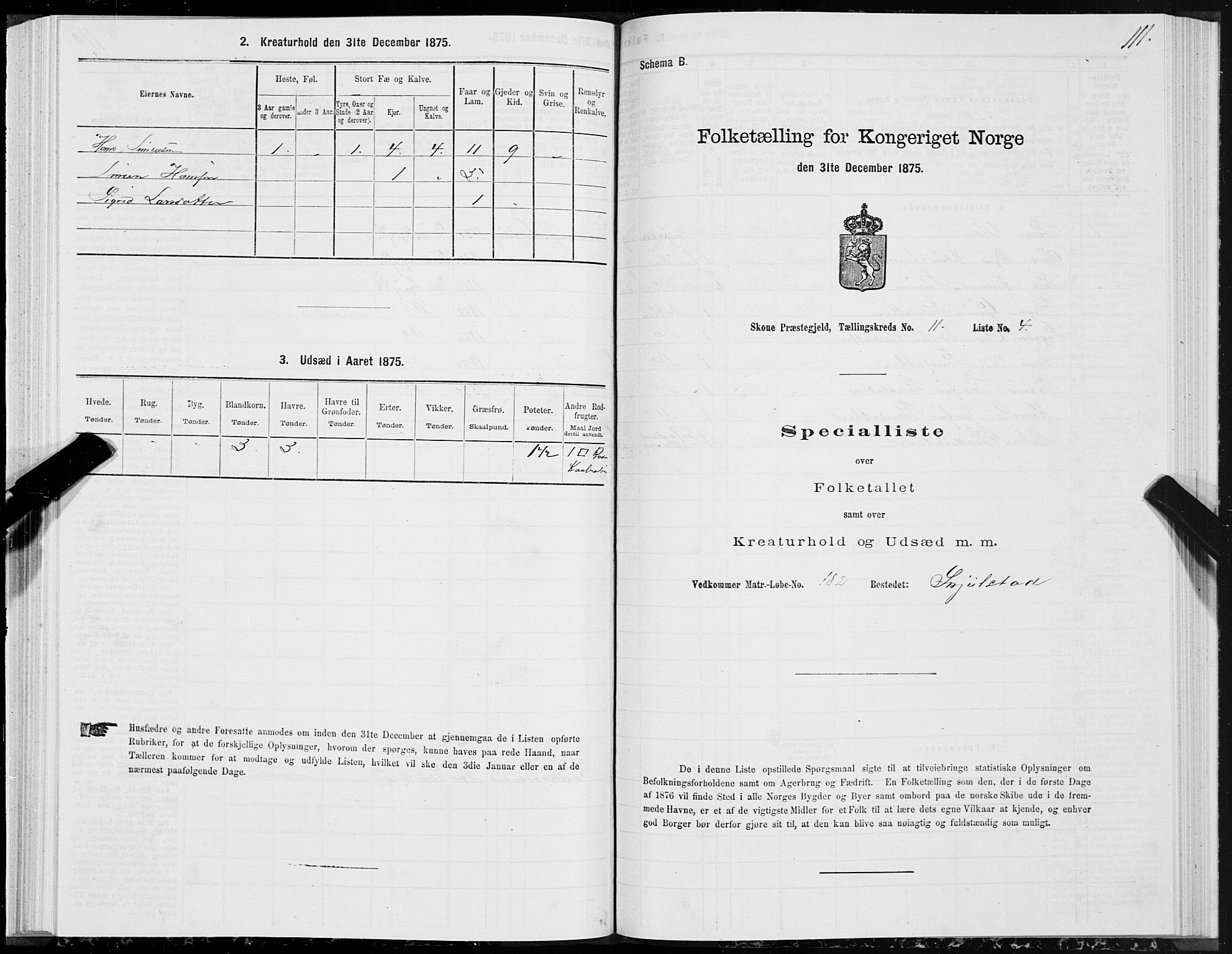 SAT, 1875 census for 1529P Skodje, 1875, p. 3111