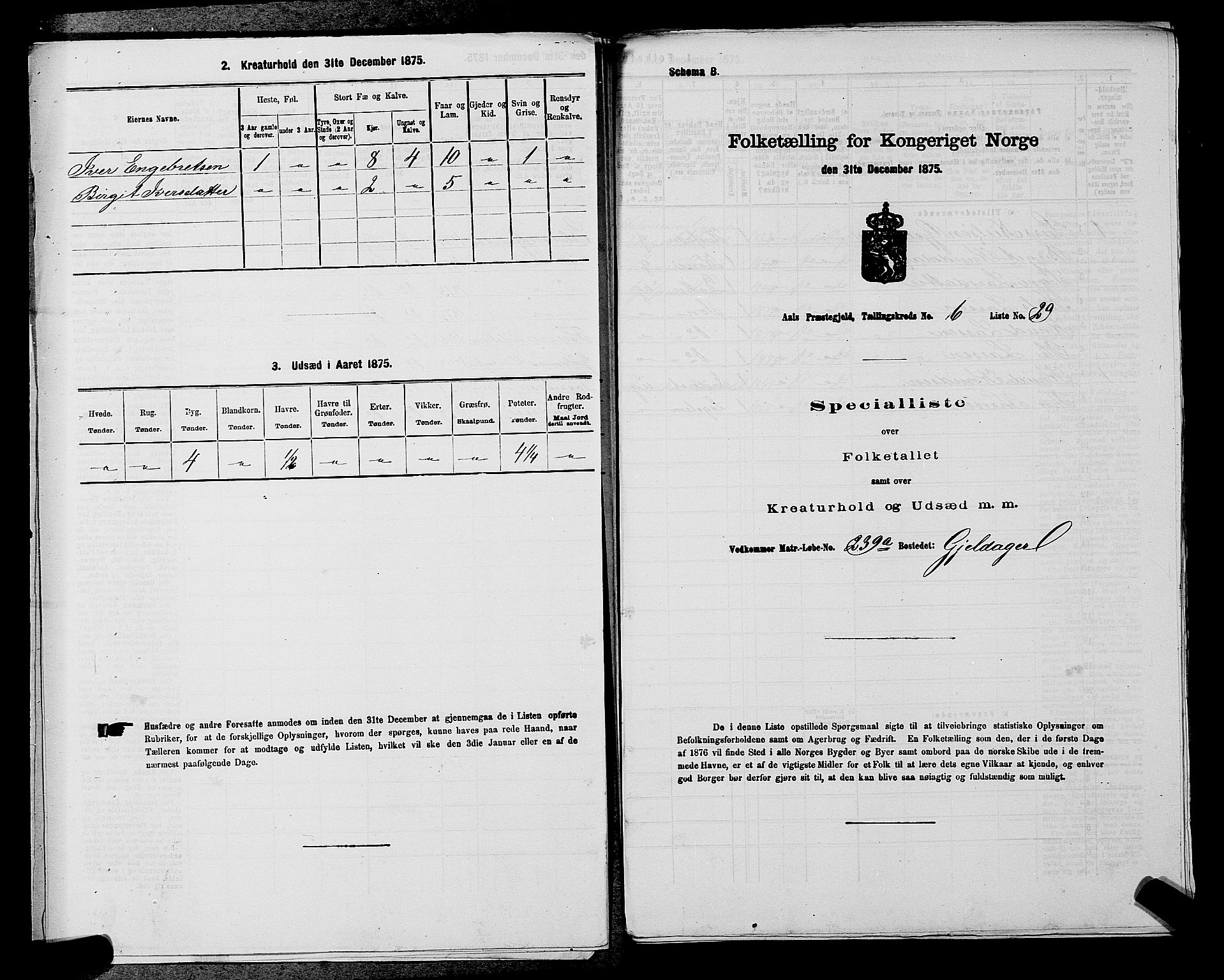 SAKO, 1875 census for 0619P Ål, 1875, p. 797