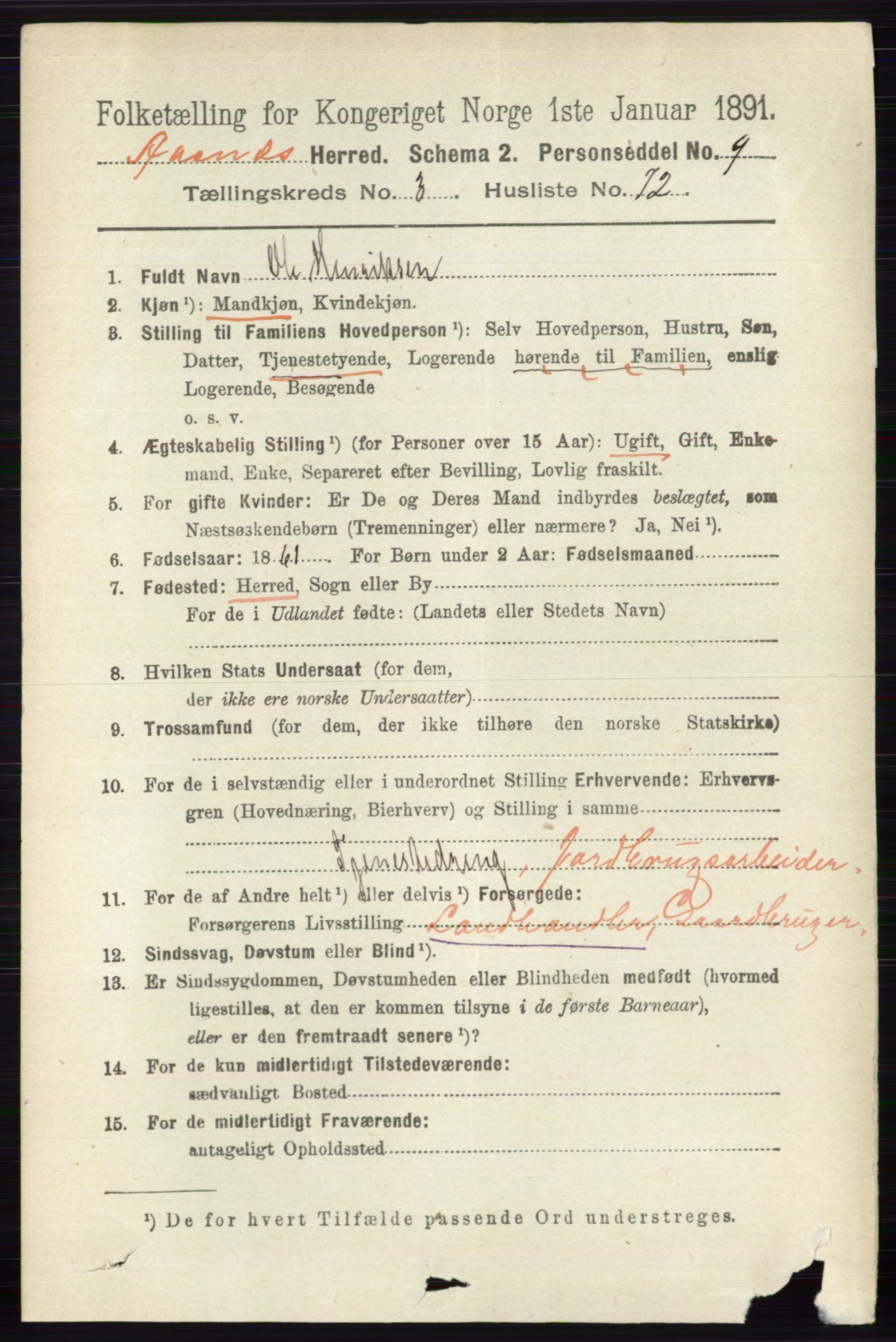 RA, 1891 census for 0425 Åsnes, 1891, p. 1539