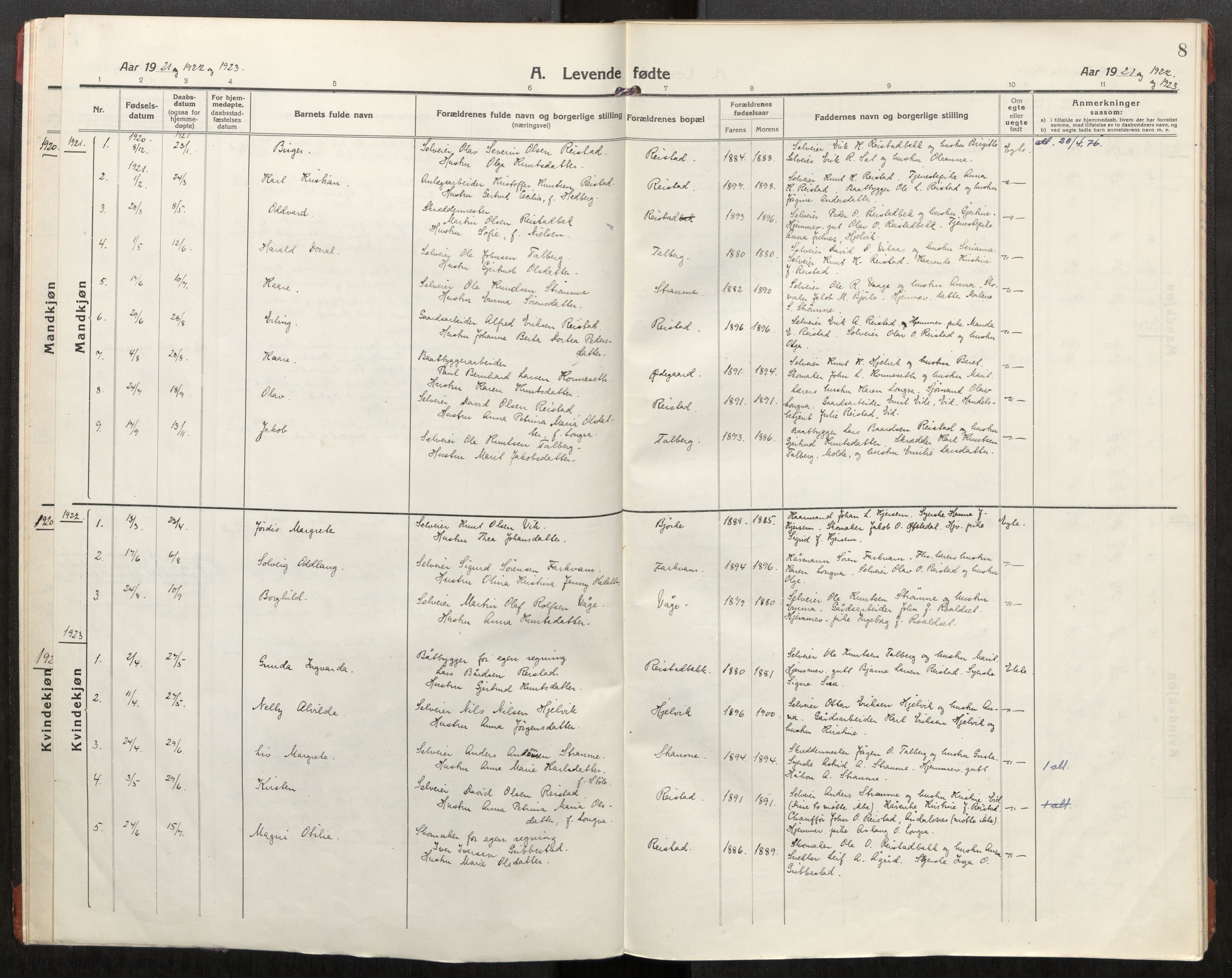 Ministerialprotokoller, klokkerbøker og fødselsregistre - Møre og Romsdal, AV/SAT-A-1454/550/L0622: Parish register (official) no. 550A02, 1916-1931, p. 8