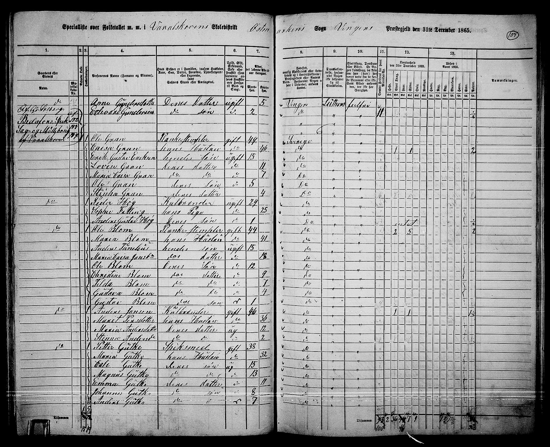 RA, 1865 census for Vinger/Vinger og Austmarka, 1865, p. 101