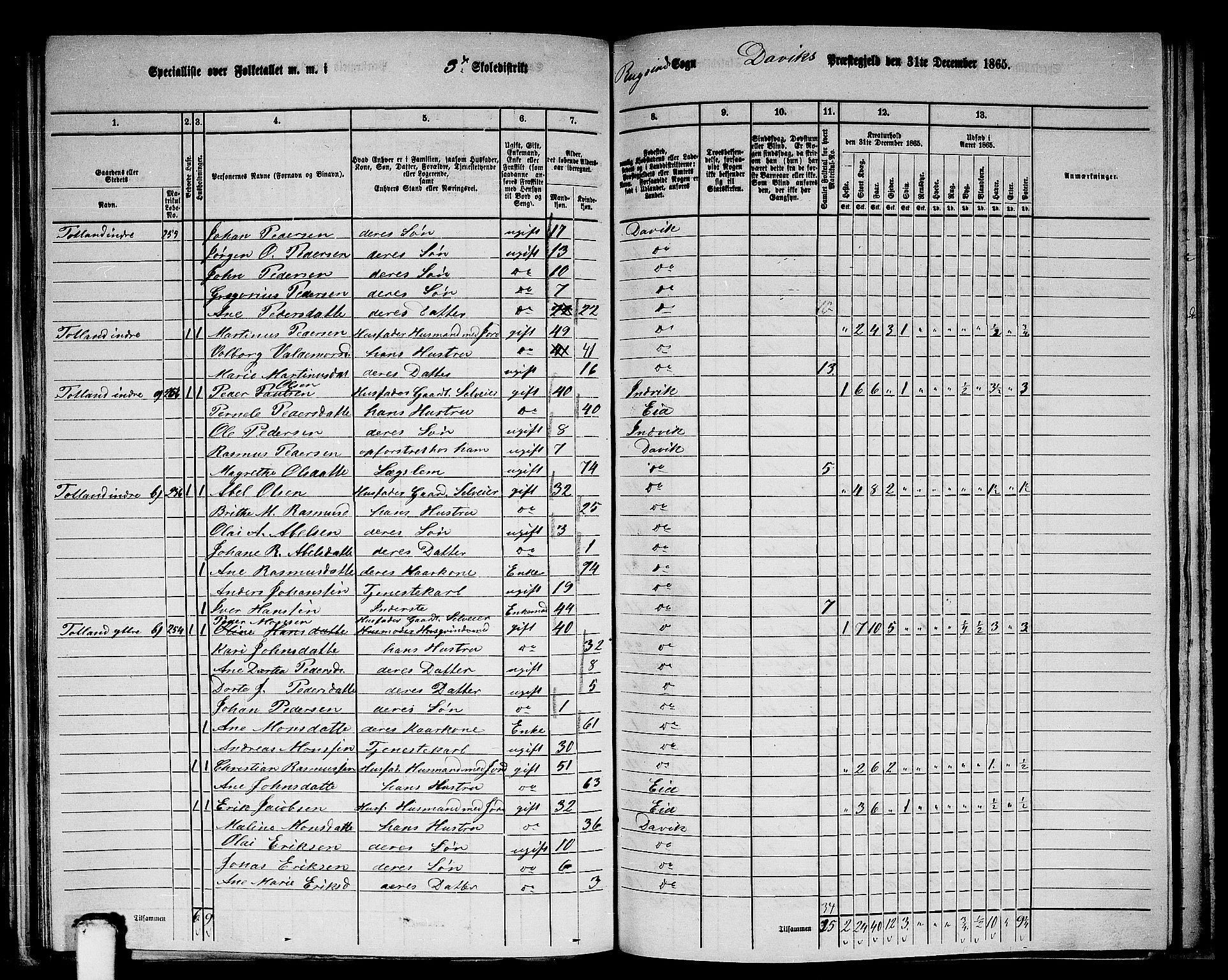 RA, 1865 census for Davik, 1865, p. 65