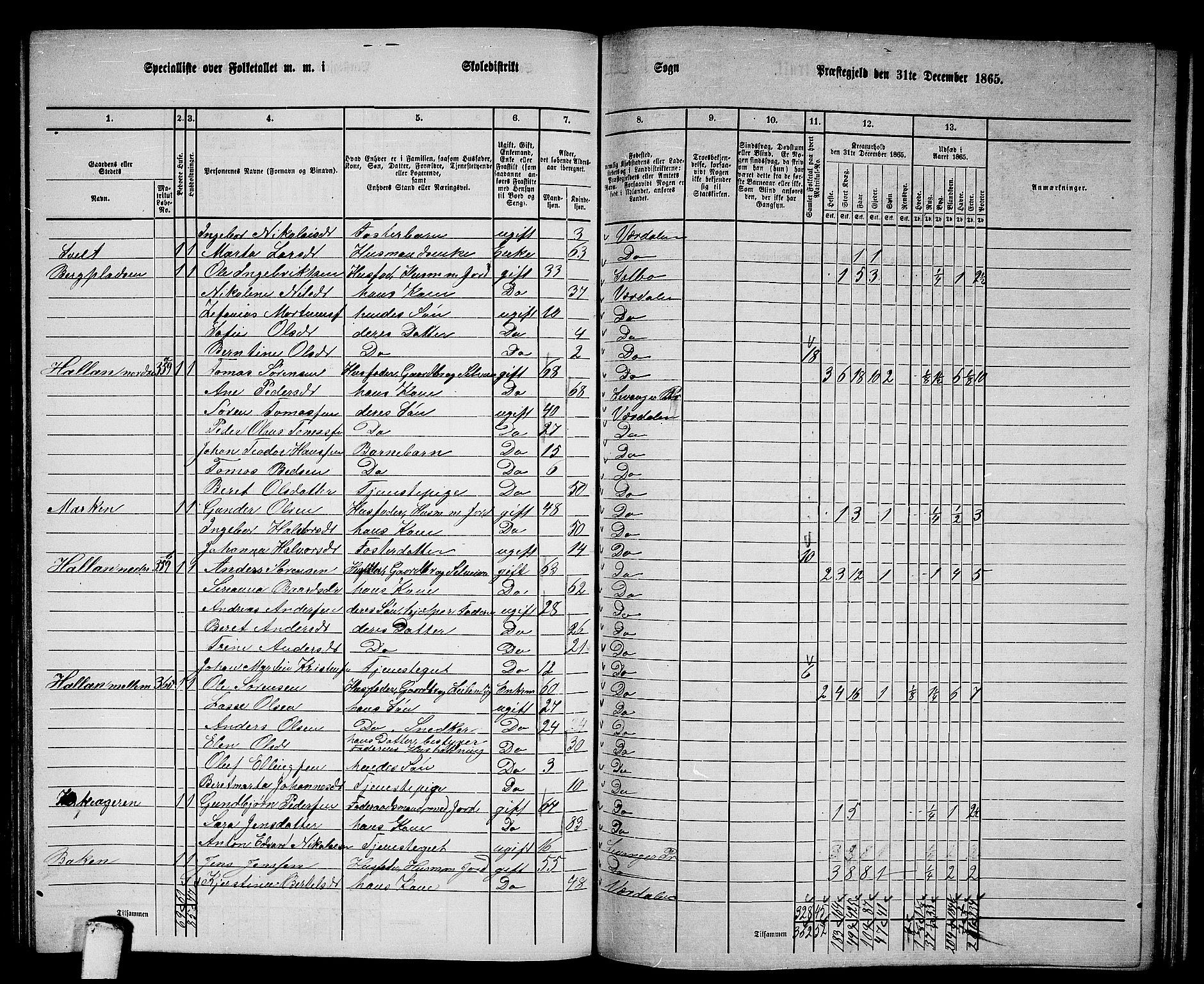 RA, 1865 census for Verdal, 1865, p. 159