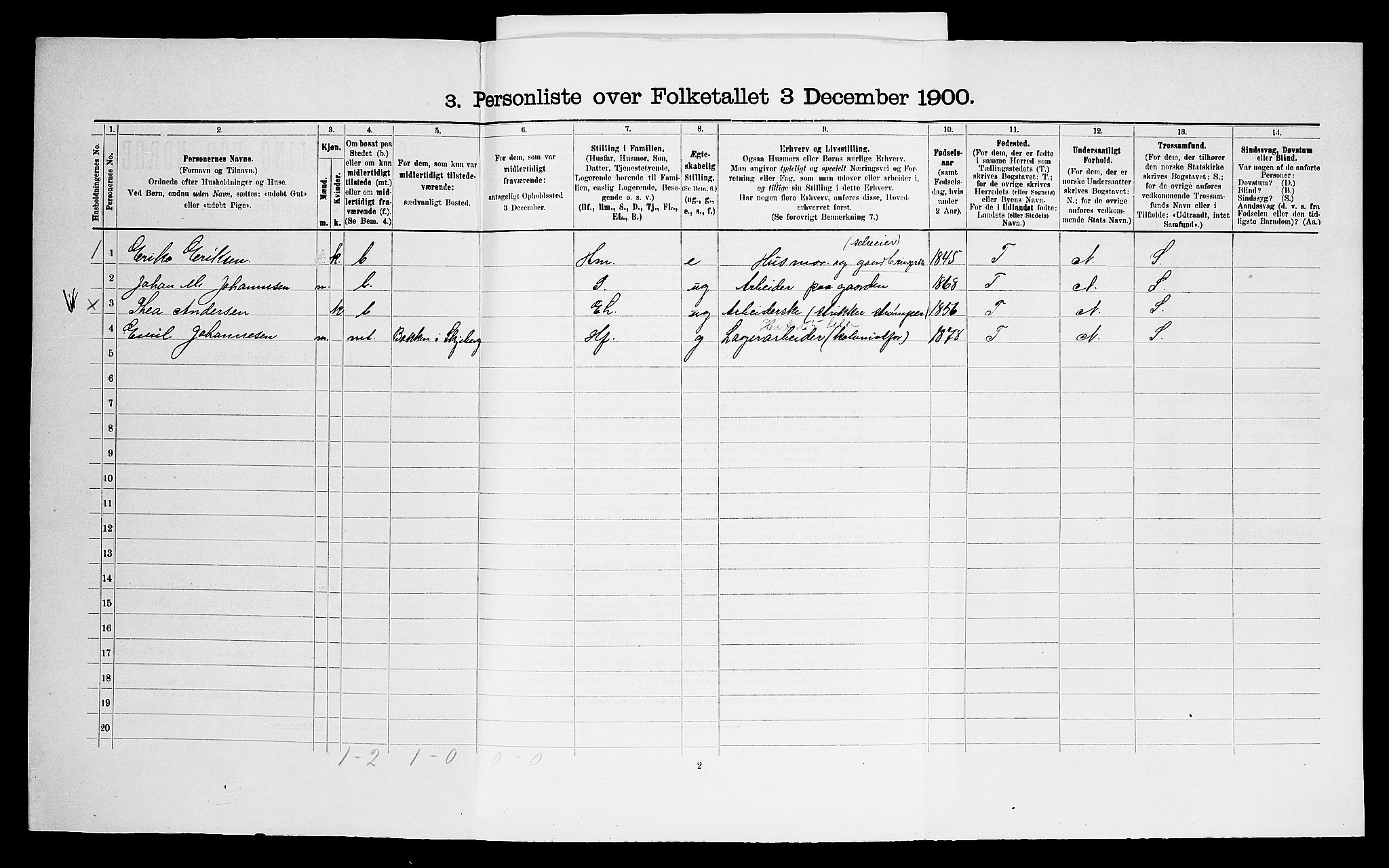 SAO, 1900 census for Skjeberg, 1900, p. 803