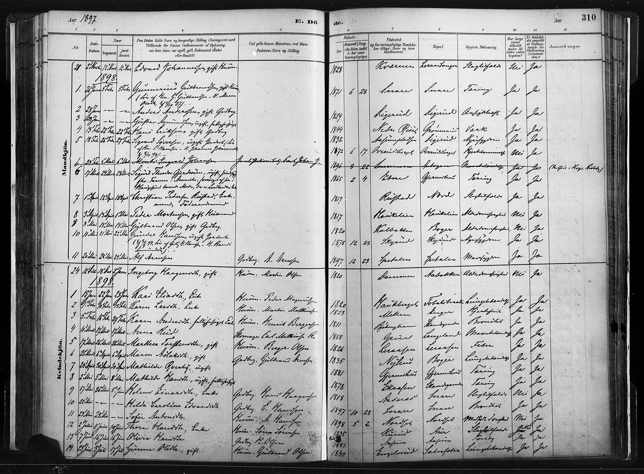 Vinger prestekontor, SAH/PREST-024/H/Ha/Haa/L0014: Parish register (official) no. 14, 1881-1900, p. 310