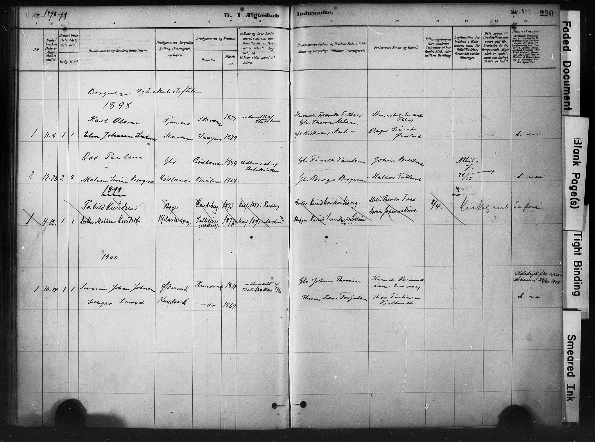 Hjelmeland sokneprestkontor, SAST/A-101843/01/IV/L0014: Parish register (official) no. A 14, 1879-1900, p. 220