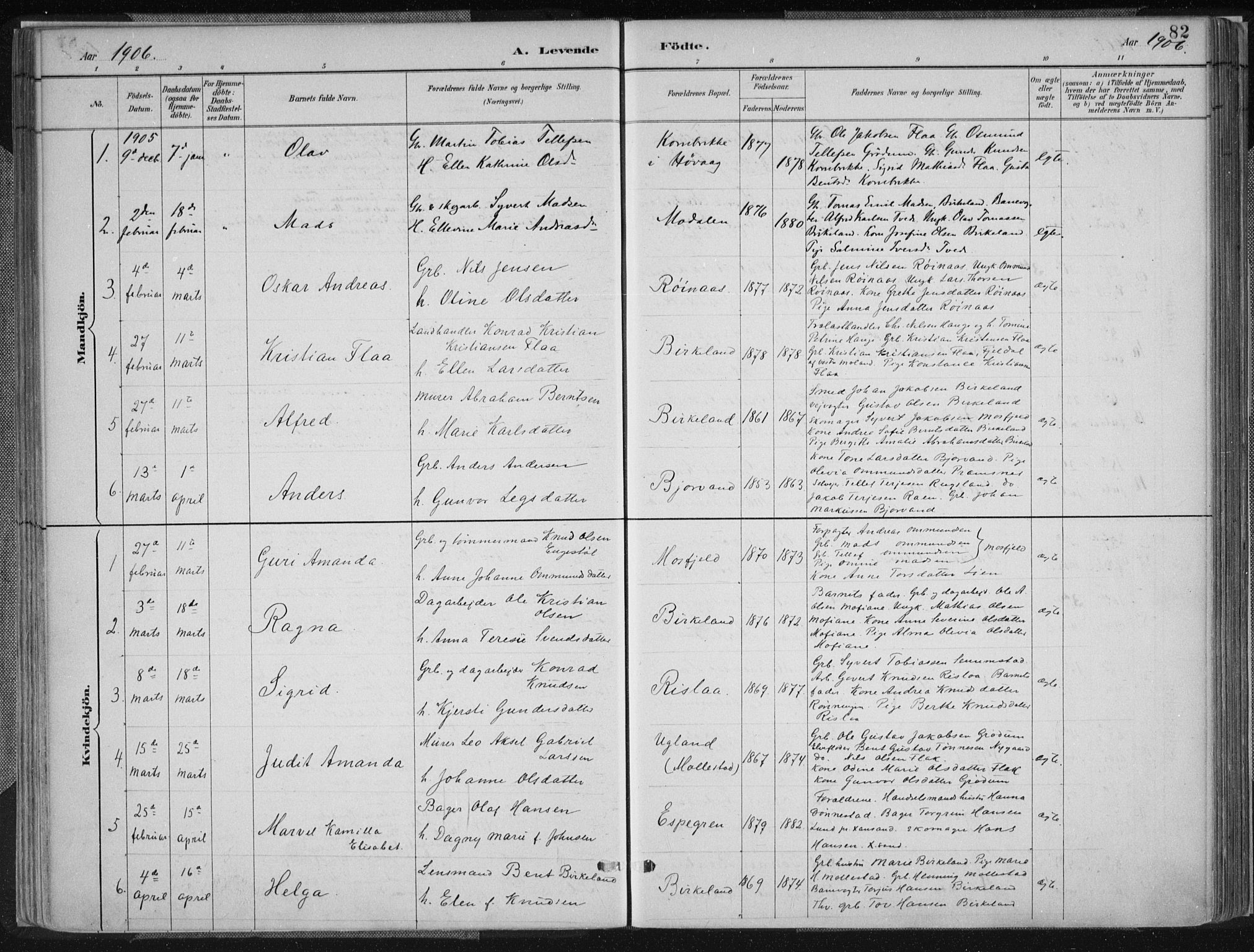 Birkenes sokneprestkontor, SAK/1111-0004/F/Fa/L0005: Parish register (official) no. A 5, 1887-1907, p. 82