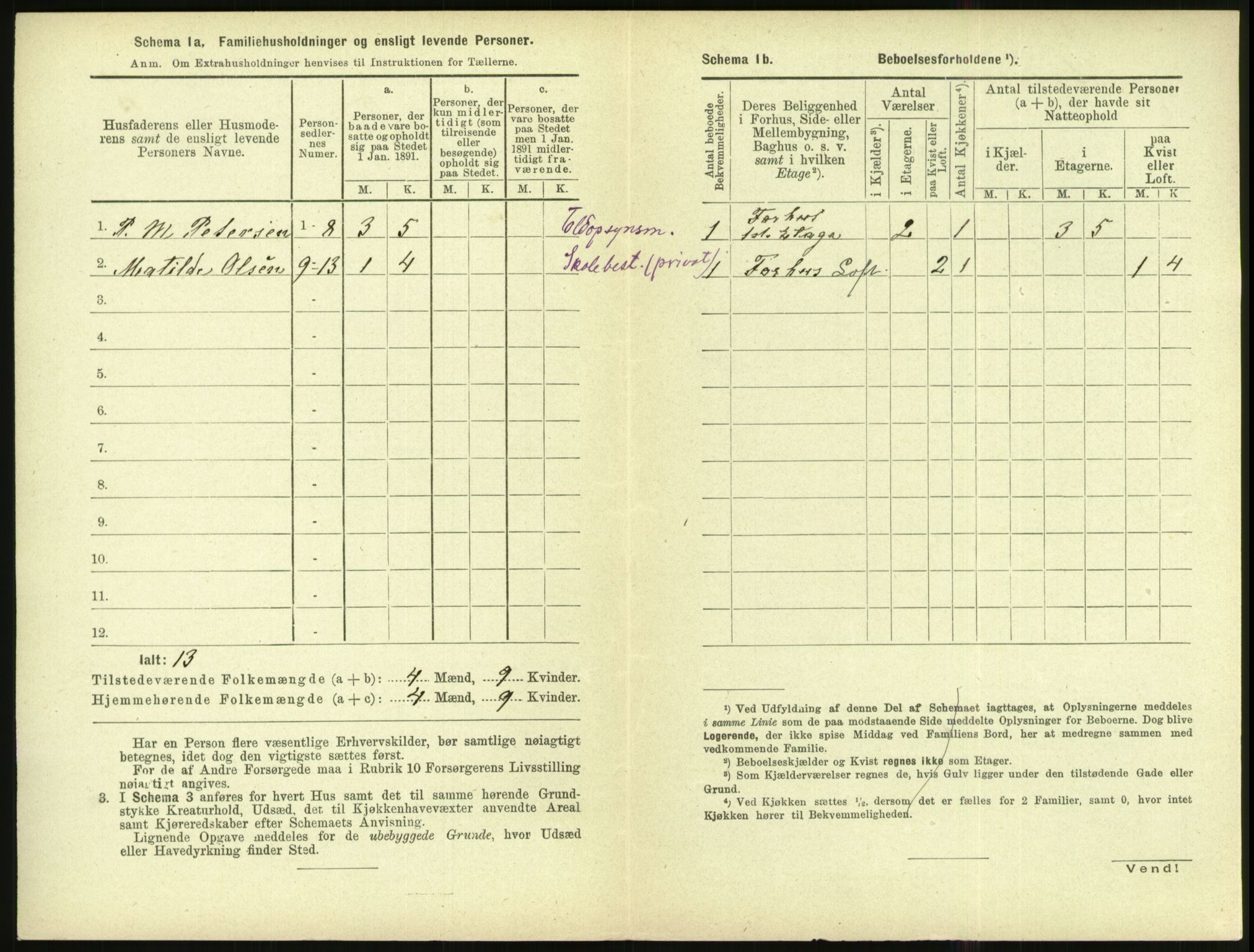 RA, 1891 census for 1002 Mandal, 1891, p. 726