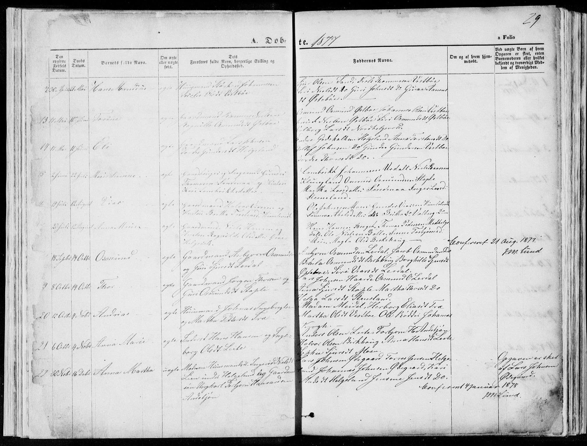 Vikedal sokneprestkontor, SAST/A-101840/01/V: Parish register (copy) no. B 10, 1864-1926, p. 29