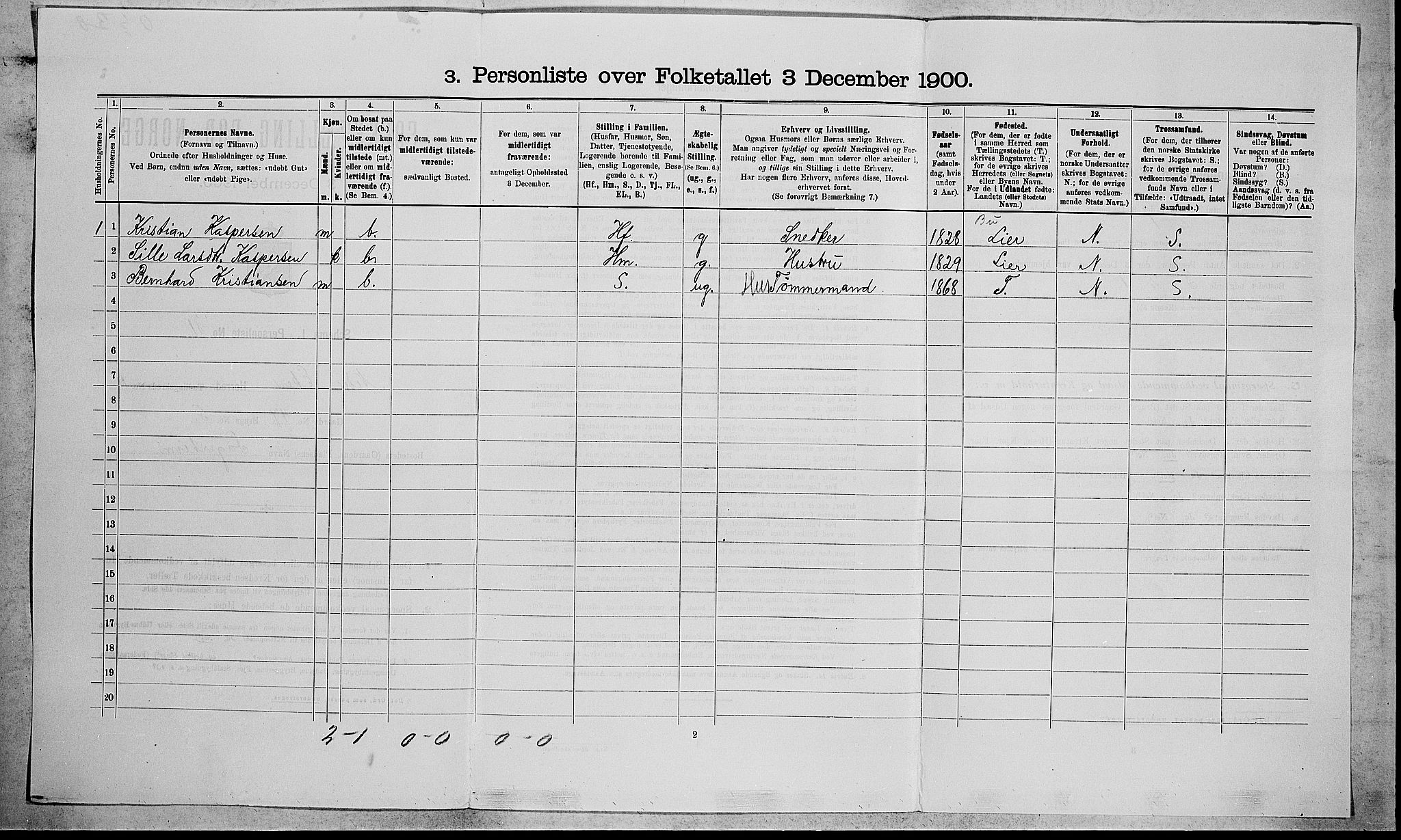 RA, 1900 census for Nedre Eiker, 1900, p. 1451