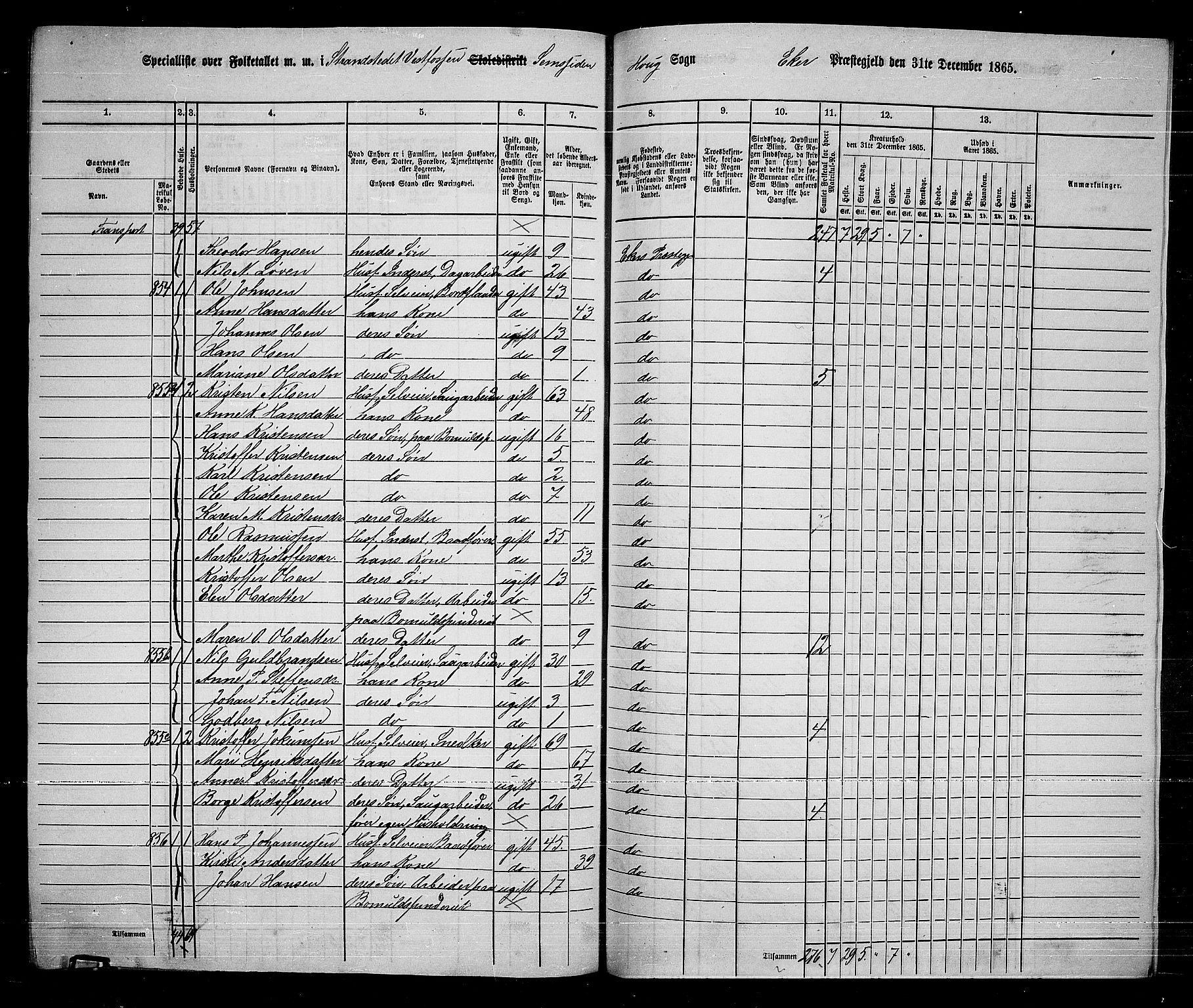 RA, 1865 census for Eiker, 1865, p. 249