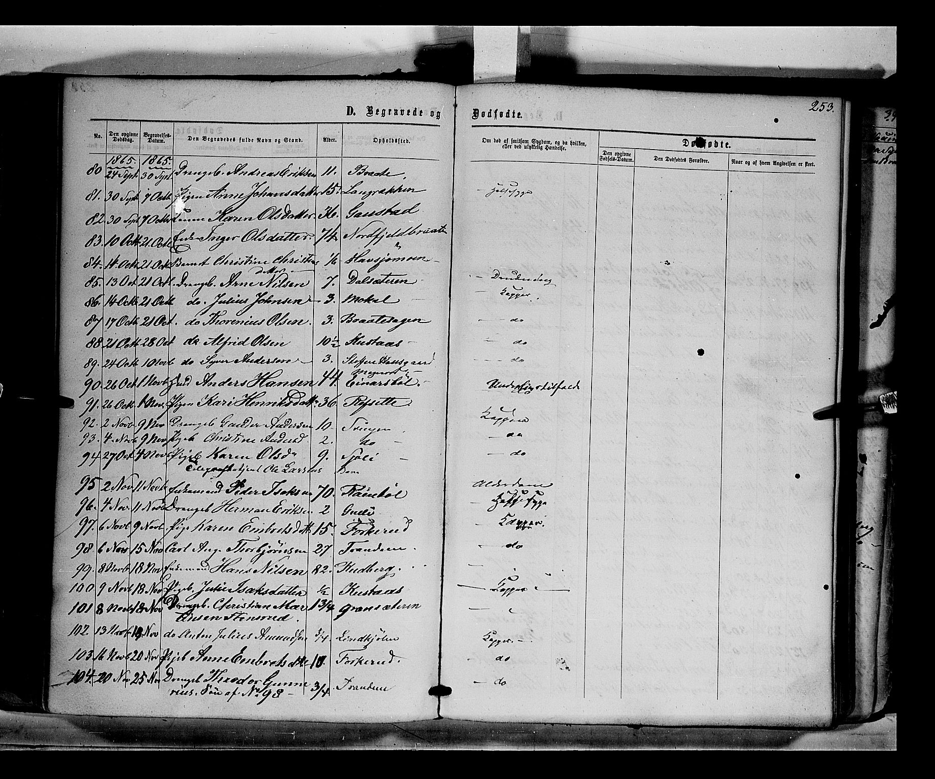 Eidskog prestekontor, AV/SAH-PREST-026/H/Ha/Haa/L0001: Parish register (official) no. 1, 1860-1867, p. 253