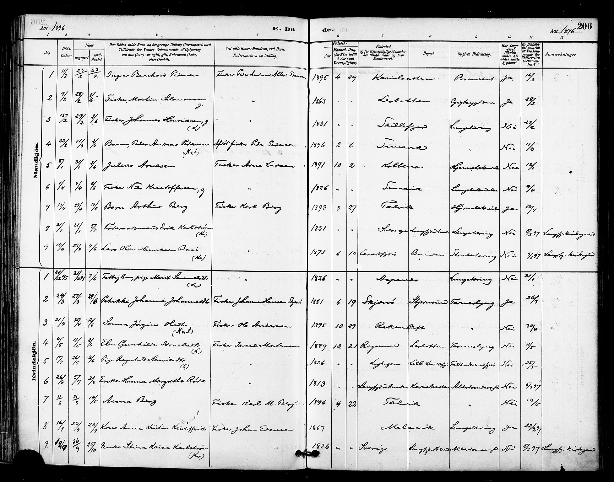 Talvik sokneprestkontor, AV/SATØ-S-1337/H/Ha/L0013kirke: Parish register (official) no. 13, 1886-1897, p. 206