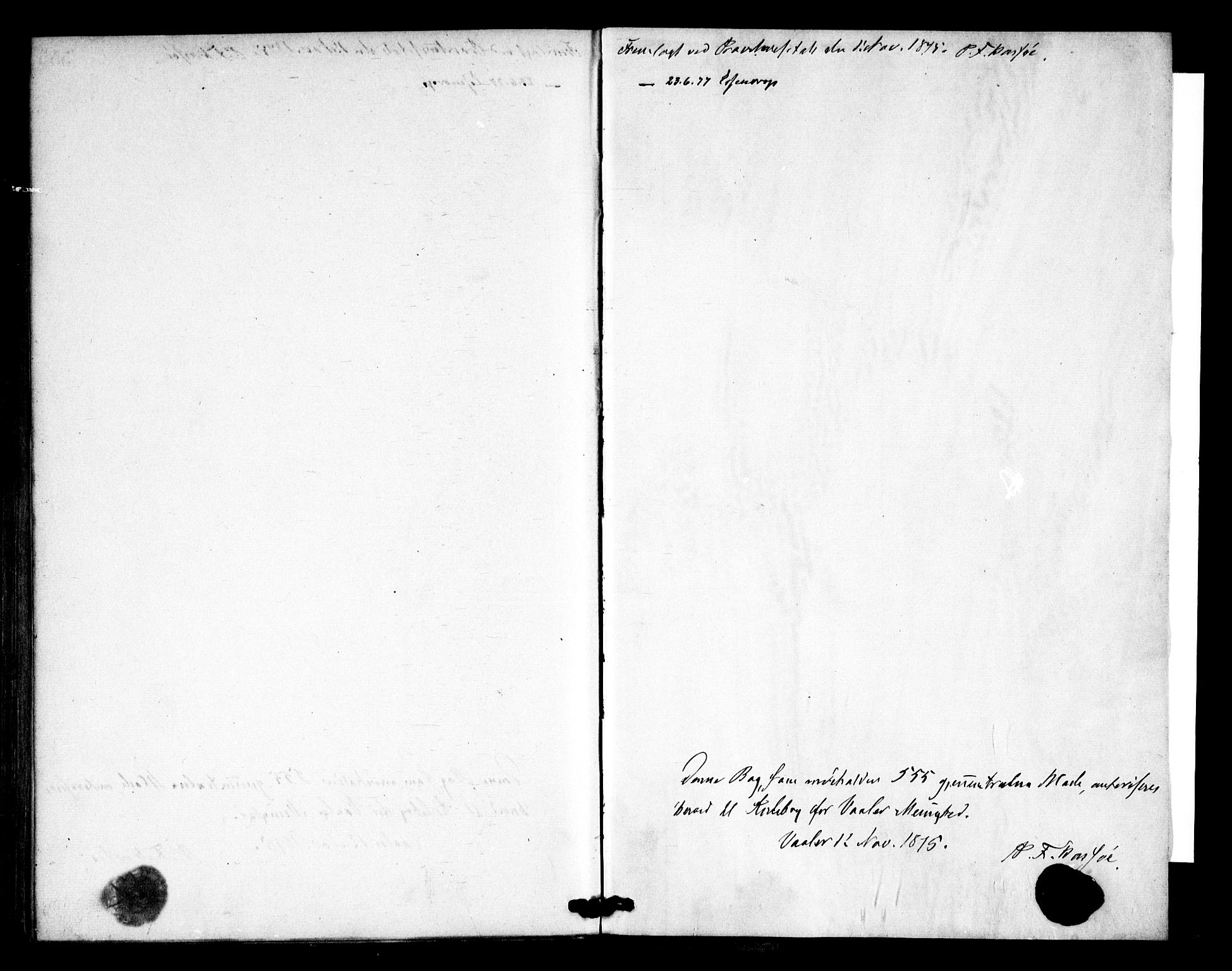 Våler prestekontor Kirkebøker, AV/SAO-A-11083/F/Fa/L0009: Parish register (official) no. I 9, 1873-1877