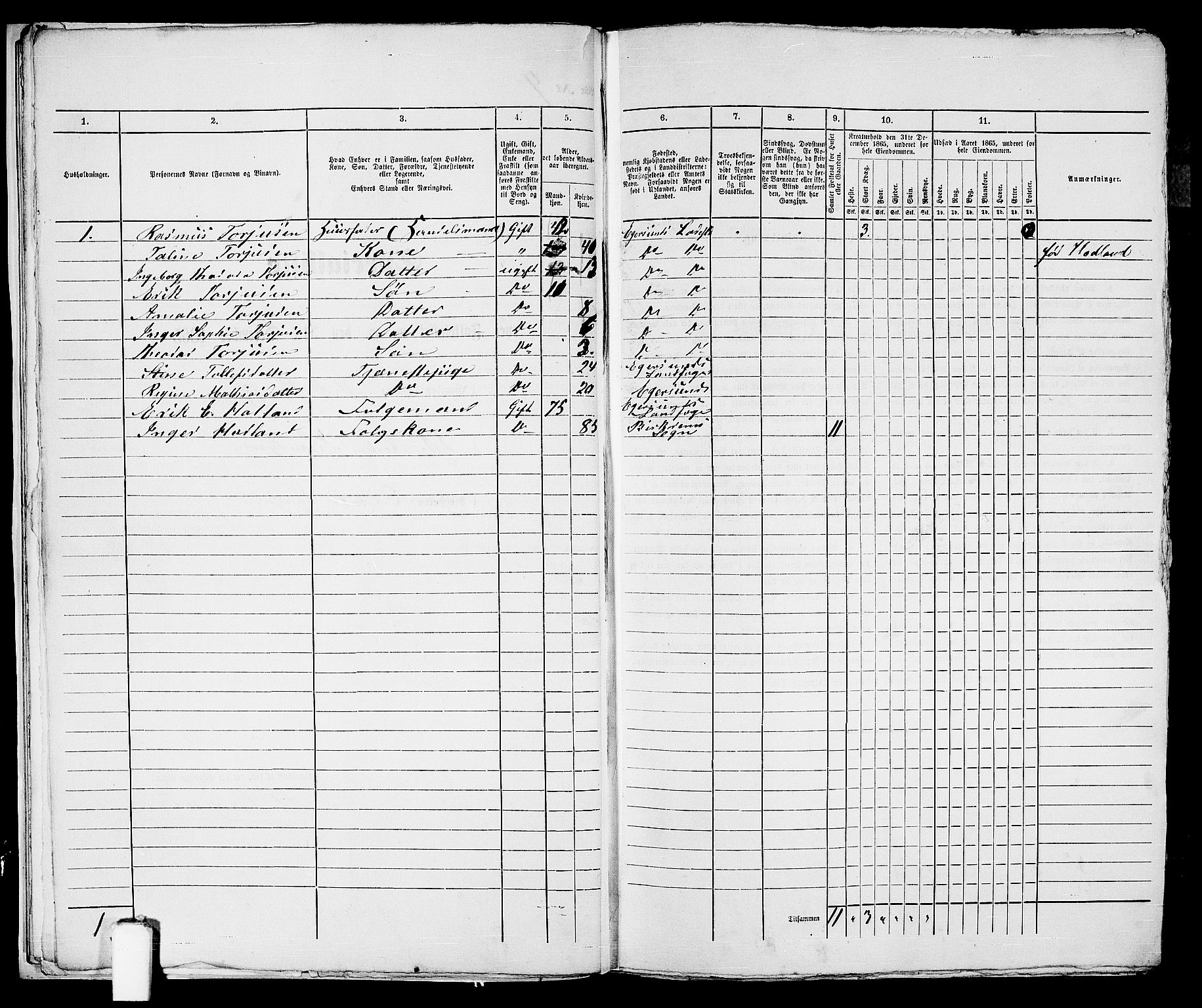 RA, 1865 census for Eigersund parish, Egersund town, 1865, p. 17