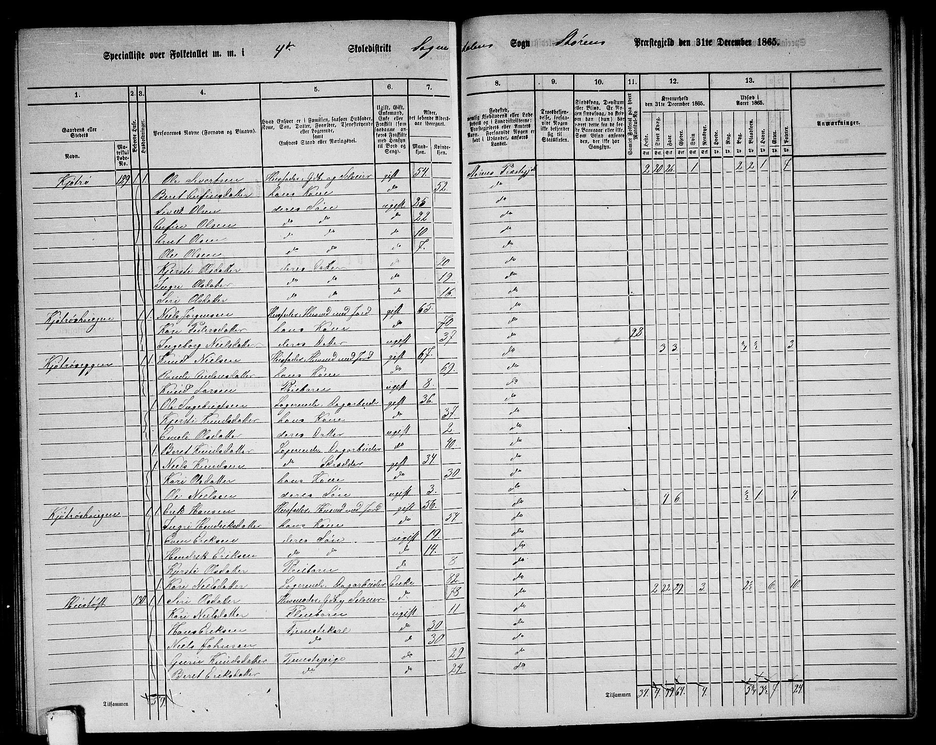 RA, 1865 census for Støren, 1865, p. 281