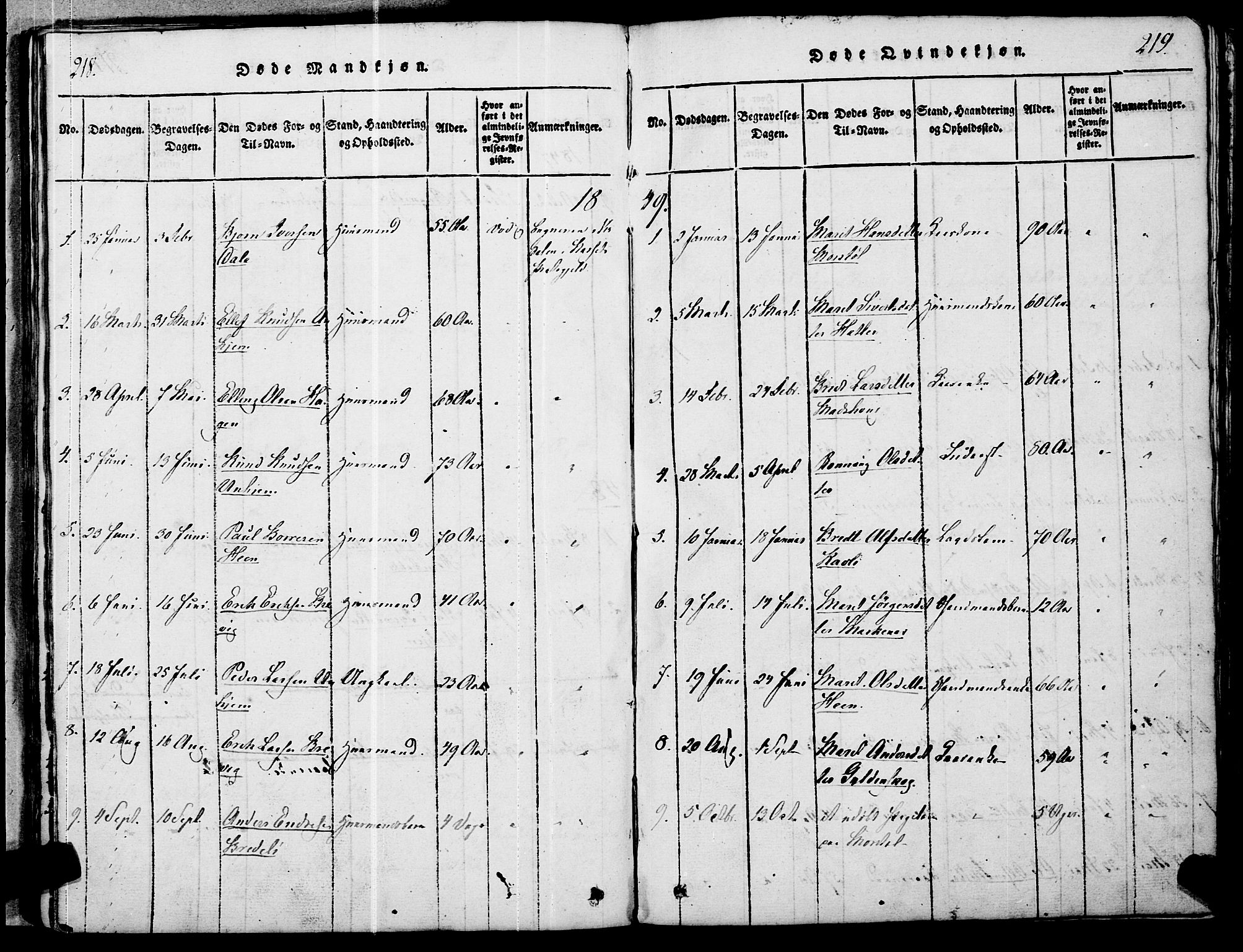 Ministerialprotokoller, klokkerbøker og fødselsregistre - Møre og Romsdal, SAT/A-1454/545/L0585: Parish register (official) no. 545A01, 1818-1853, p. 218-219