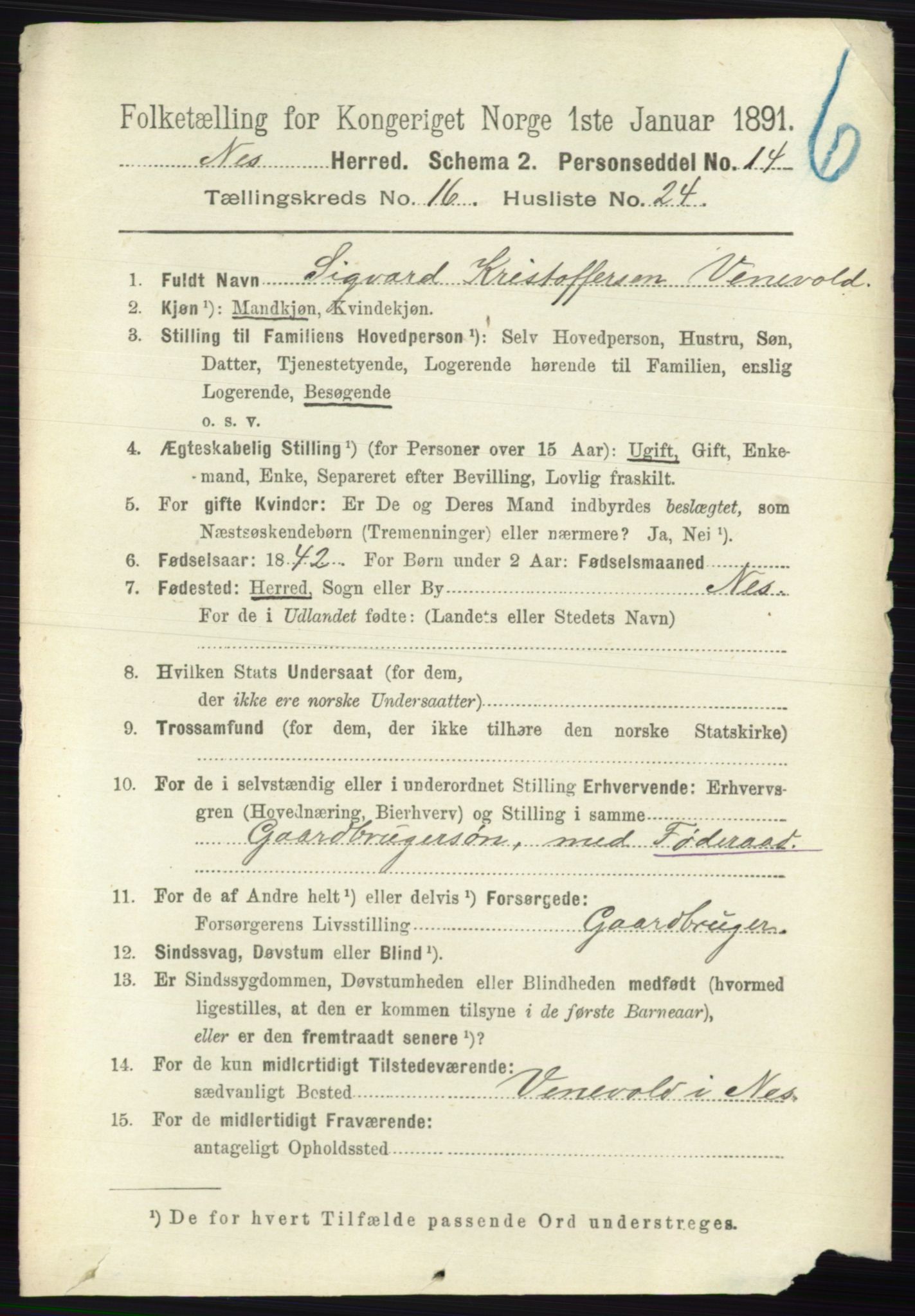 RA, 1891 census for 0236 Nes, 1891, p. 9695
