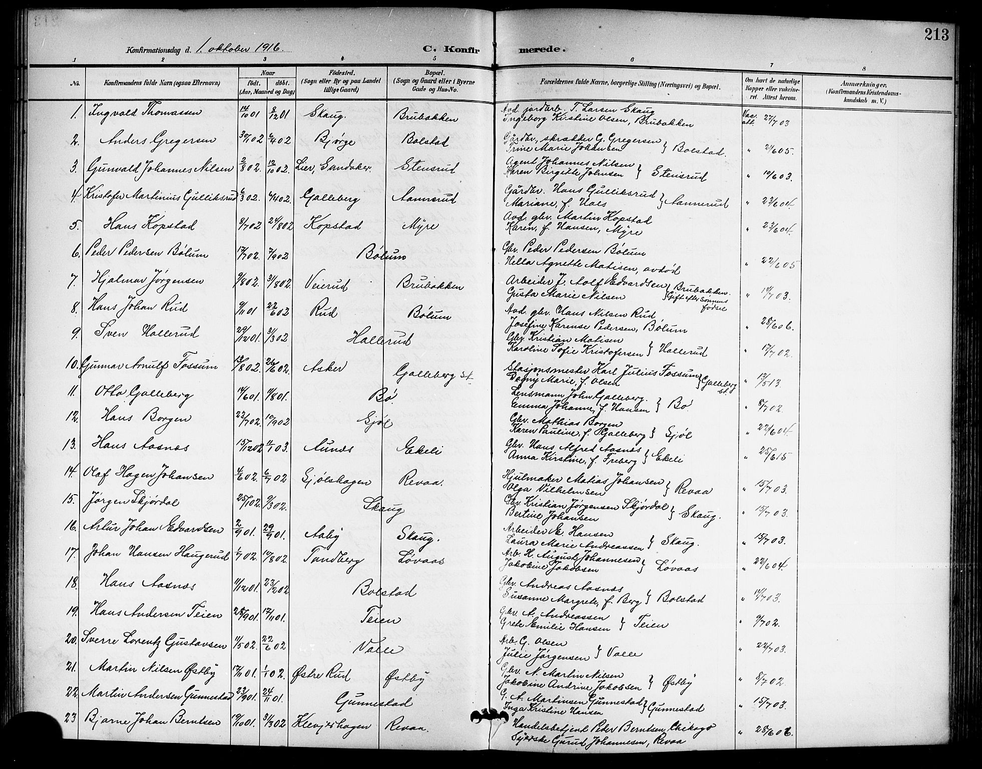 Sande Kirkebøker, SAKO/A-53/G/Ga/L0004: Parish register (copy) no. 4, 1895-1918, p. 213