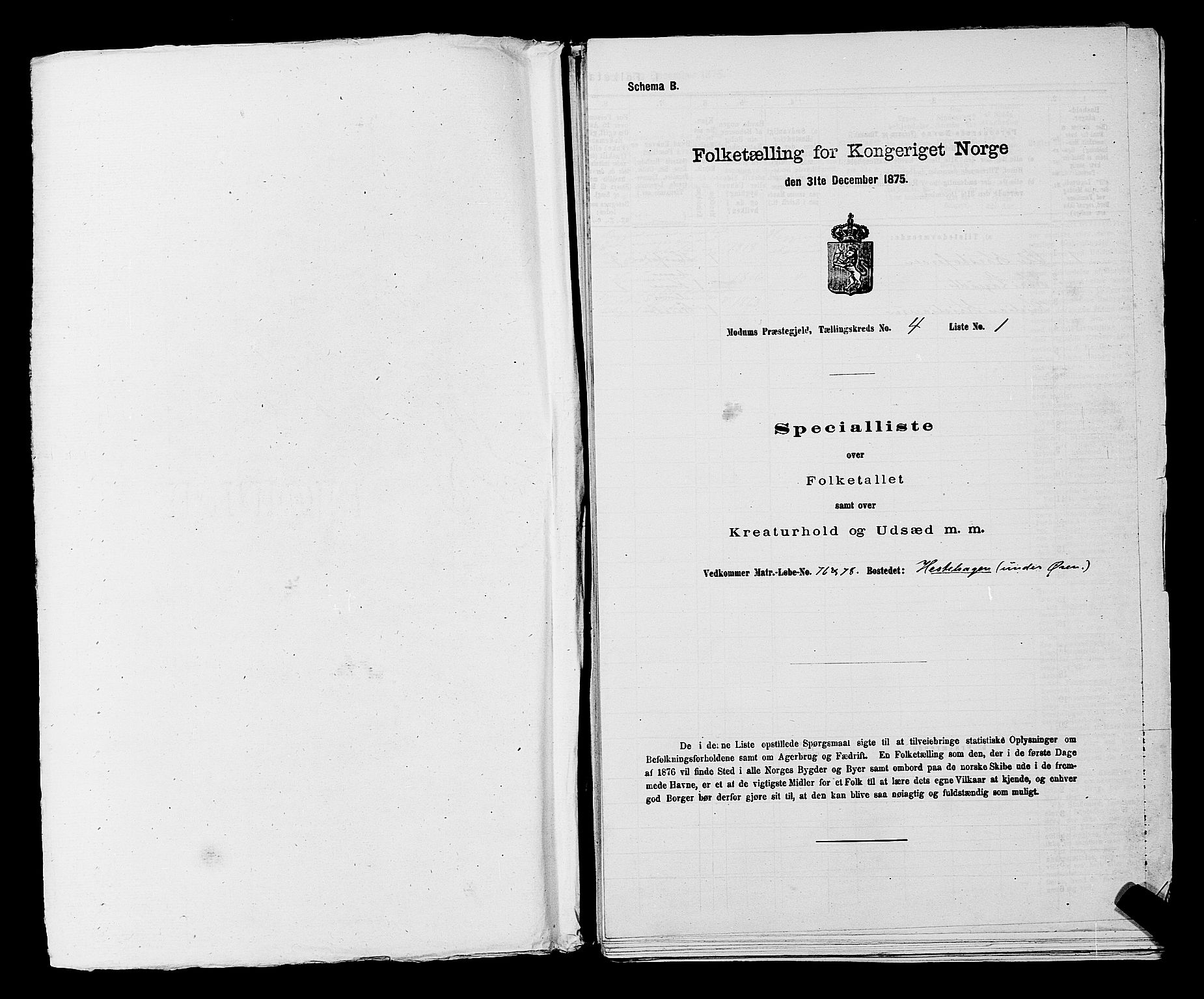 SAKO, 1875 census for 0623P Modum, 1875, p. 429