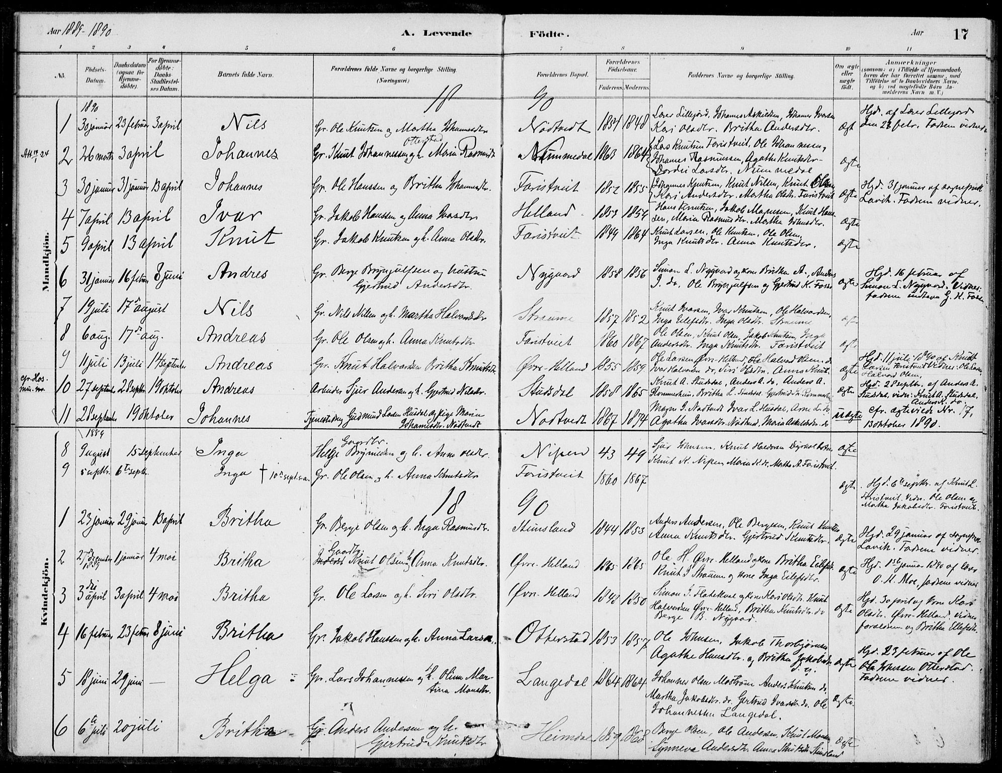 Hosanger sokneprestembete, SAB/A-75801/H/Haa: Parish register (official) no. C  1, 1880-1900, p. 17