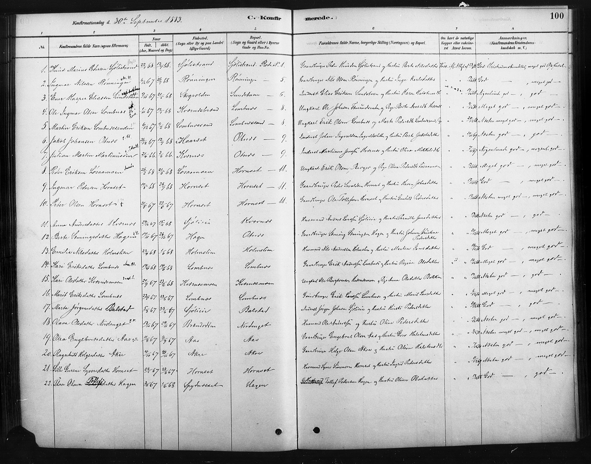 Rendalen prestekontor, AV/SAH-PREST-054/H/Ha/Haa/L0010: Parish register (official) no. 10, 1878-1901, p. 100