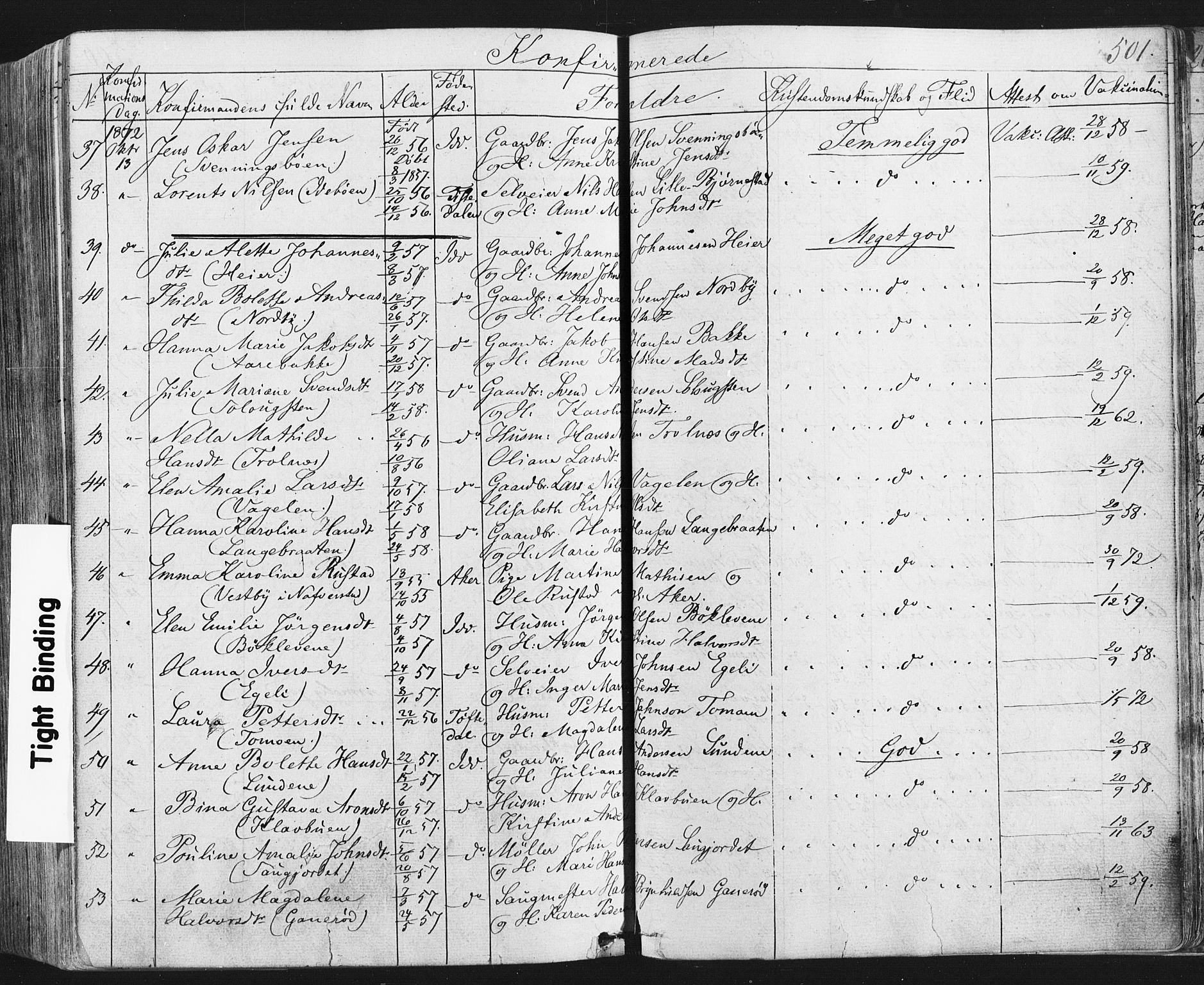 Idd prestekontor Kirkebøker, AV/SAO-A-10911/F/Fc/L0005: Parish register (official) no. III 5, 1861-1877, p. 501