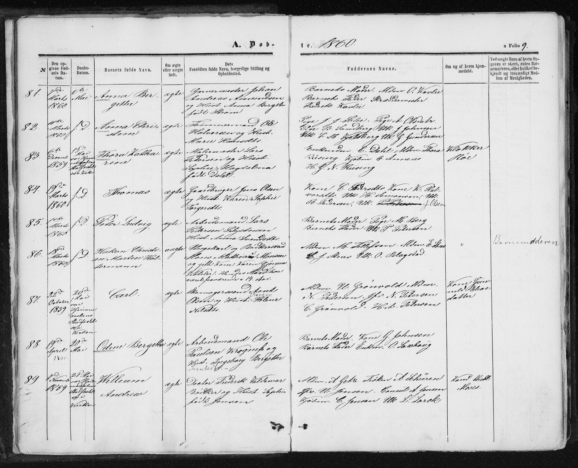 Ministerialprotokoller, klokkerbøker og fødselsregistre - Sør-Trøndelag, AV/SAT-A-1456/602/L0115: Parish register (official) no. 602A13, 1860-1872, p. 9